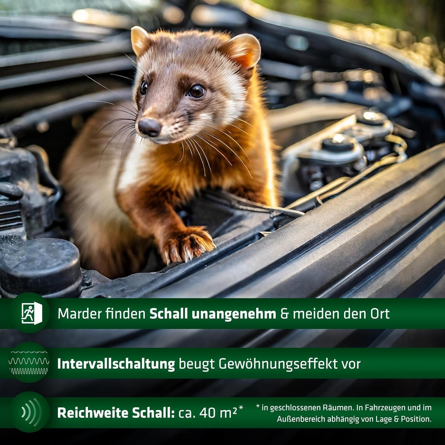 gardigo-marder-frei-mobil-marderschreck-batterie-intervall image 2