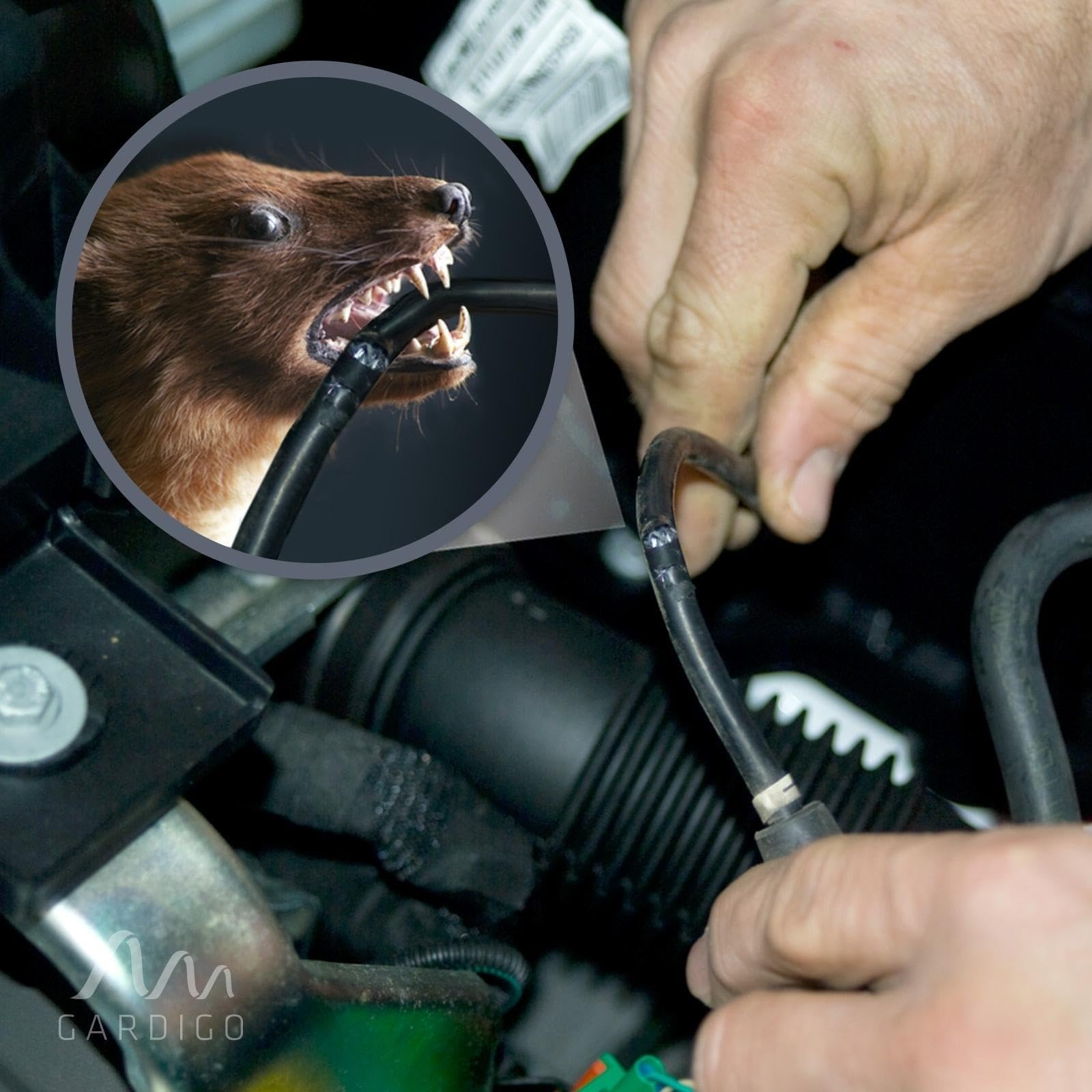 gardigo-marder-schock-marderschreck-auto-stromschlag-ultraschall image 8