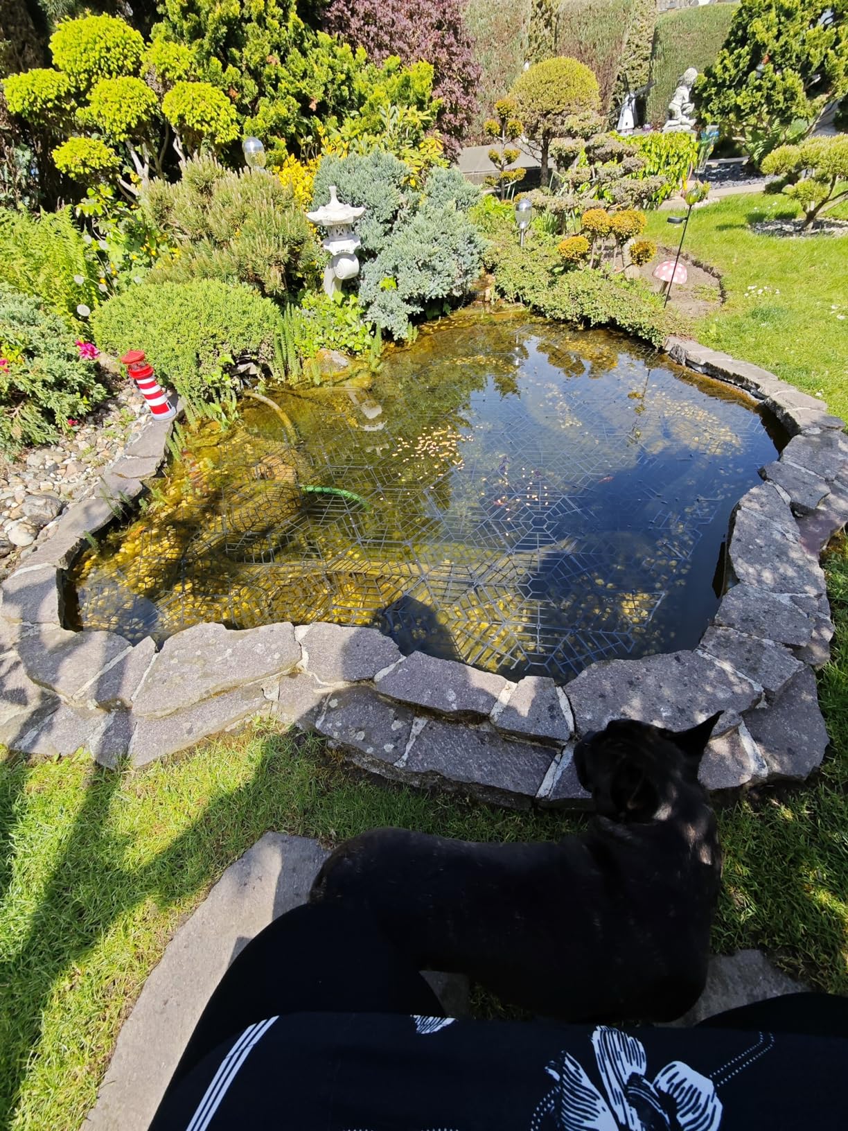 Reicht für Teich