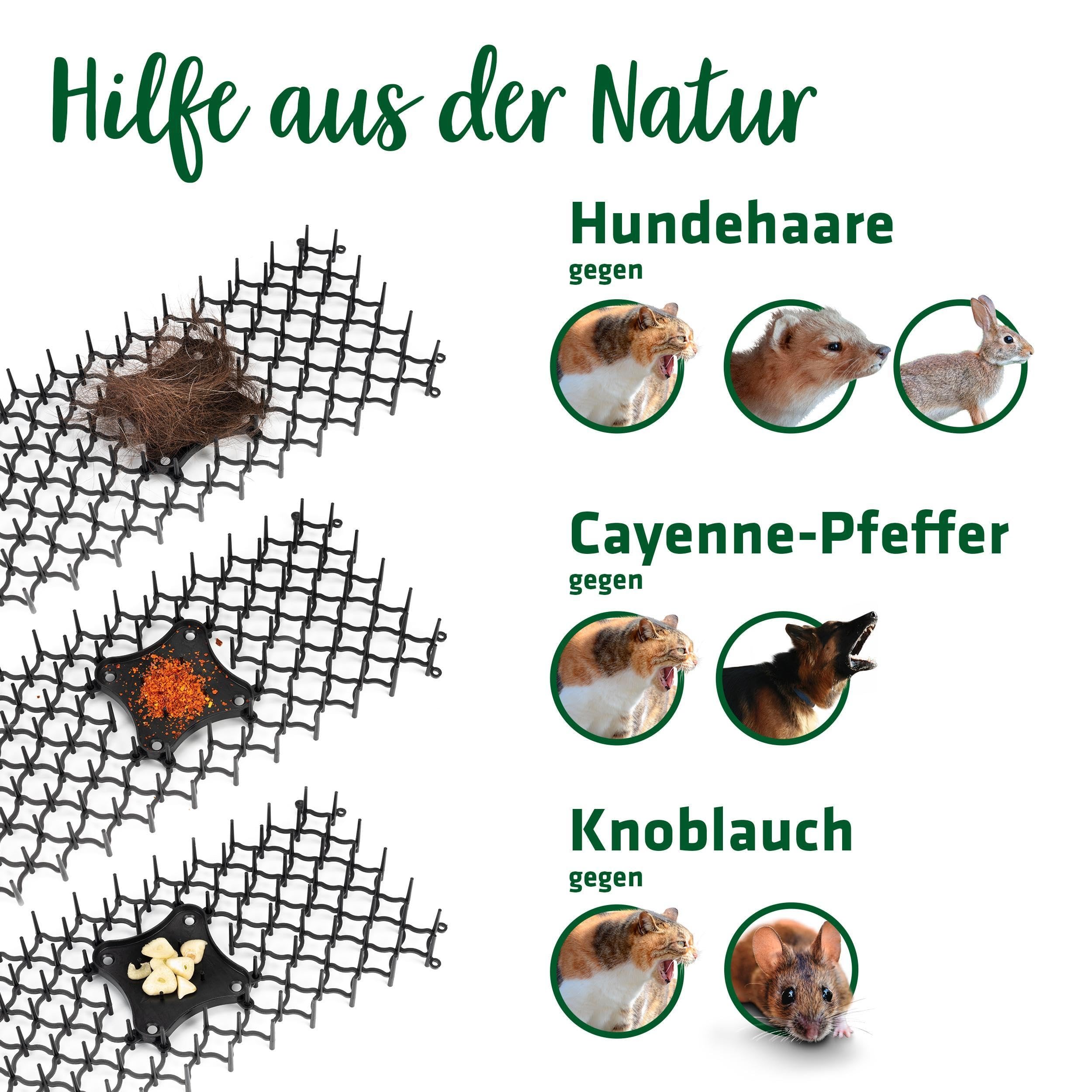 gardigo-vogel-frei-dornengitter-12er-set-katzenabwehr-f-r-beet image 6