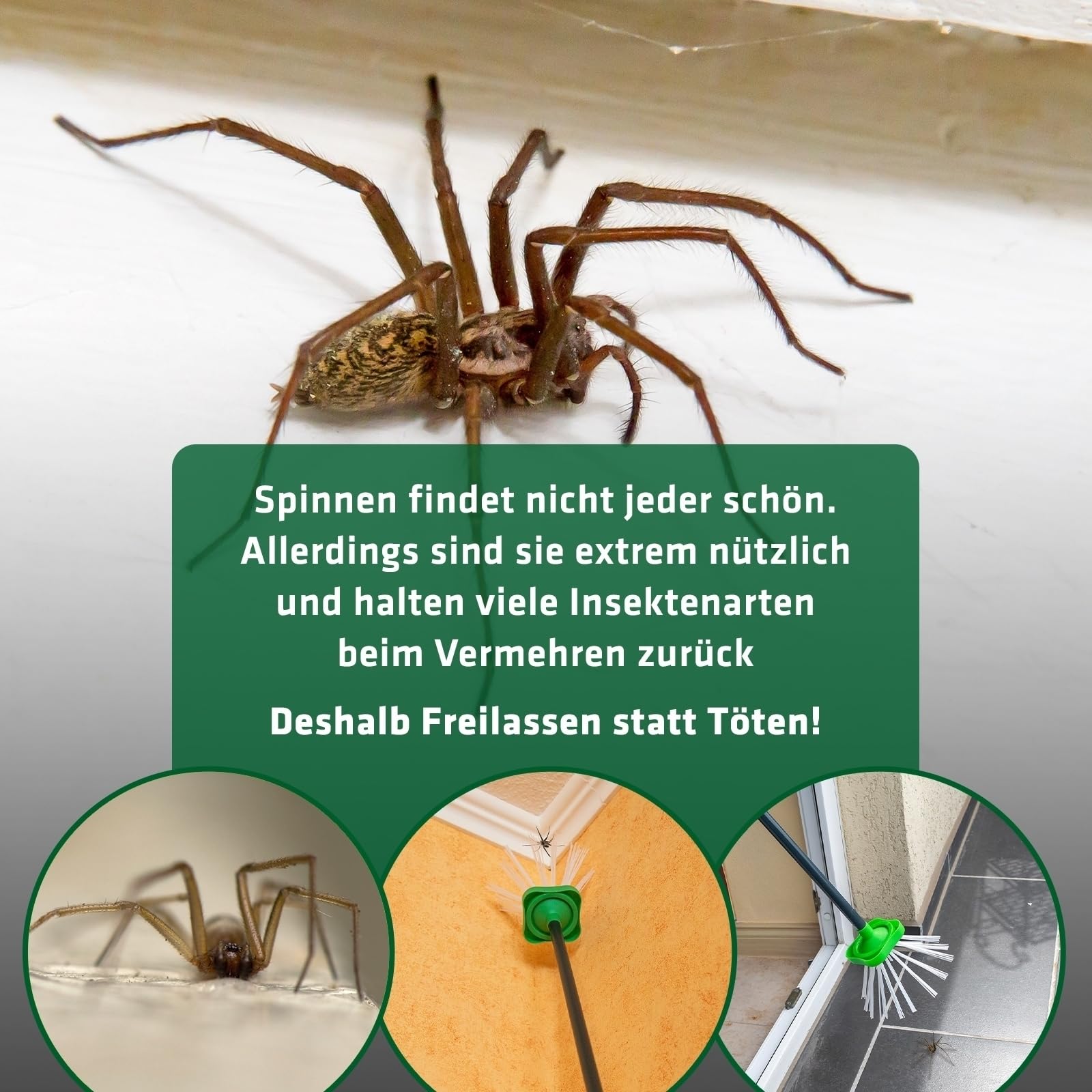 gardigo-m-use-feind-spinnenf-nger-65-cm-borsten-greifer image 4