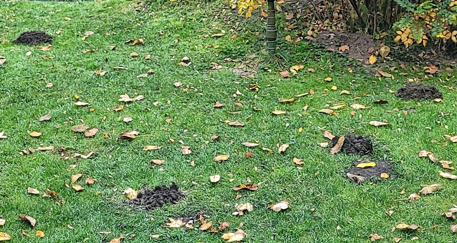Praktisches Teil