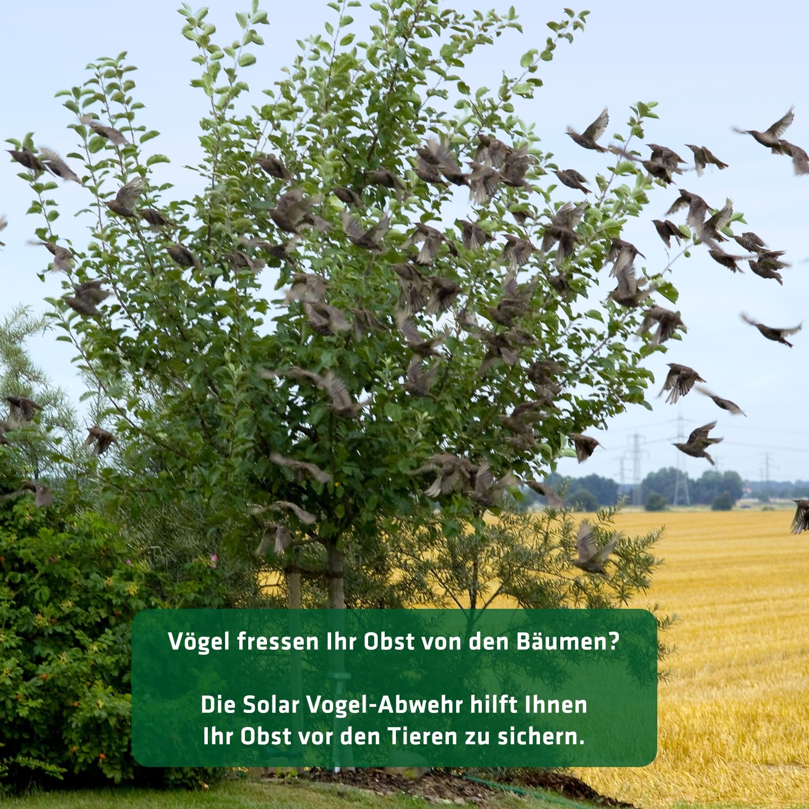 gardigo-vogel-frei-vogelabwehr-solar-ultraschall-blitzlicht image 7