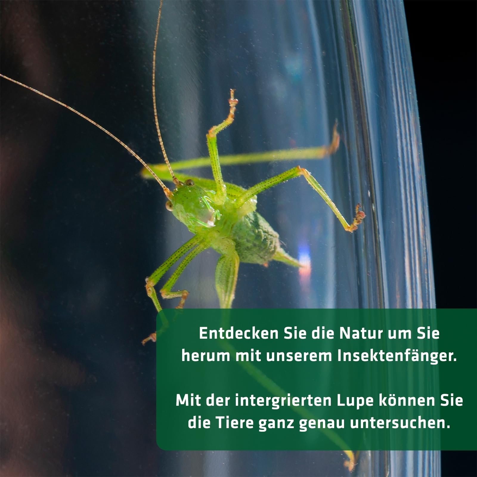 gardigo-m-use-feind-insektenf-nger-xxl-lupenglas-teleskop image 4