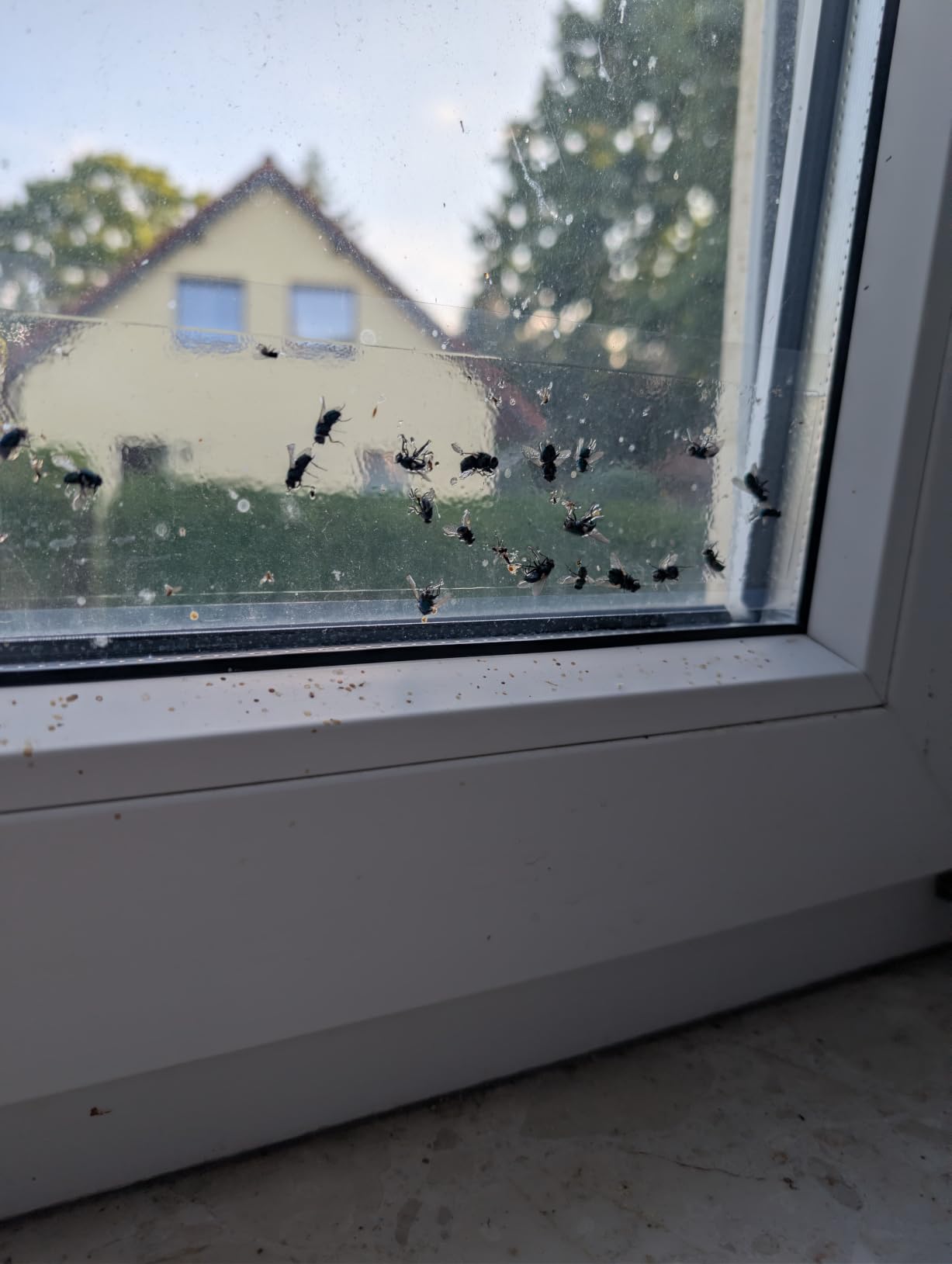 Kaum sichtbar