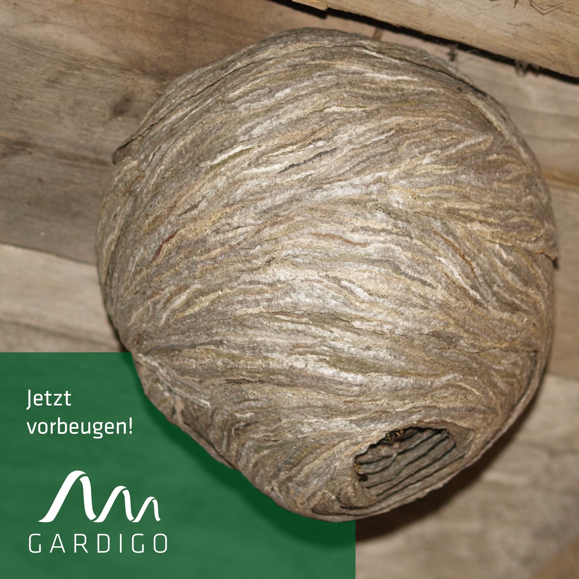 gardigo-wespenwedler-wespennest-attrappe-4er-set-papier-giftfrei image 5