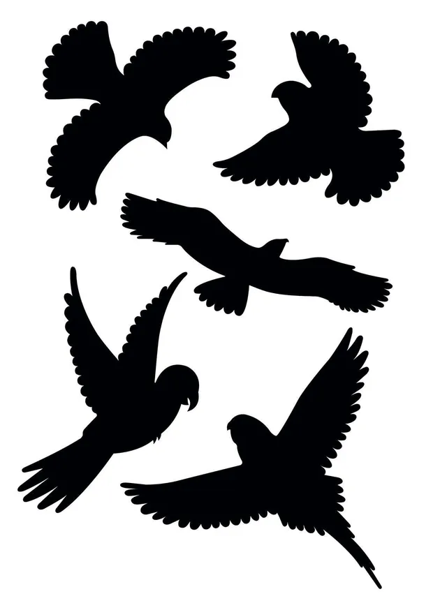 gardigo-vogel-frei-vogelabwehr-aufkleber-schwarz-5er-set-fenster image 1