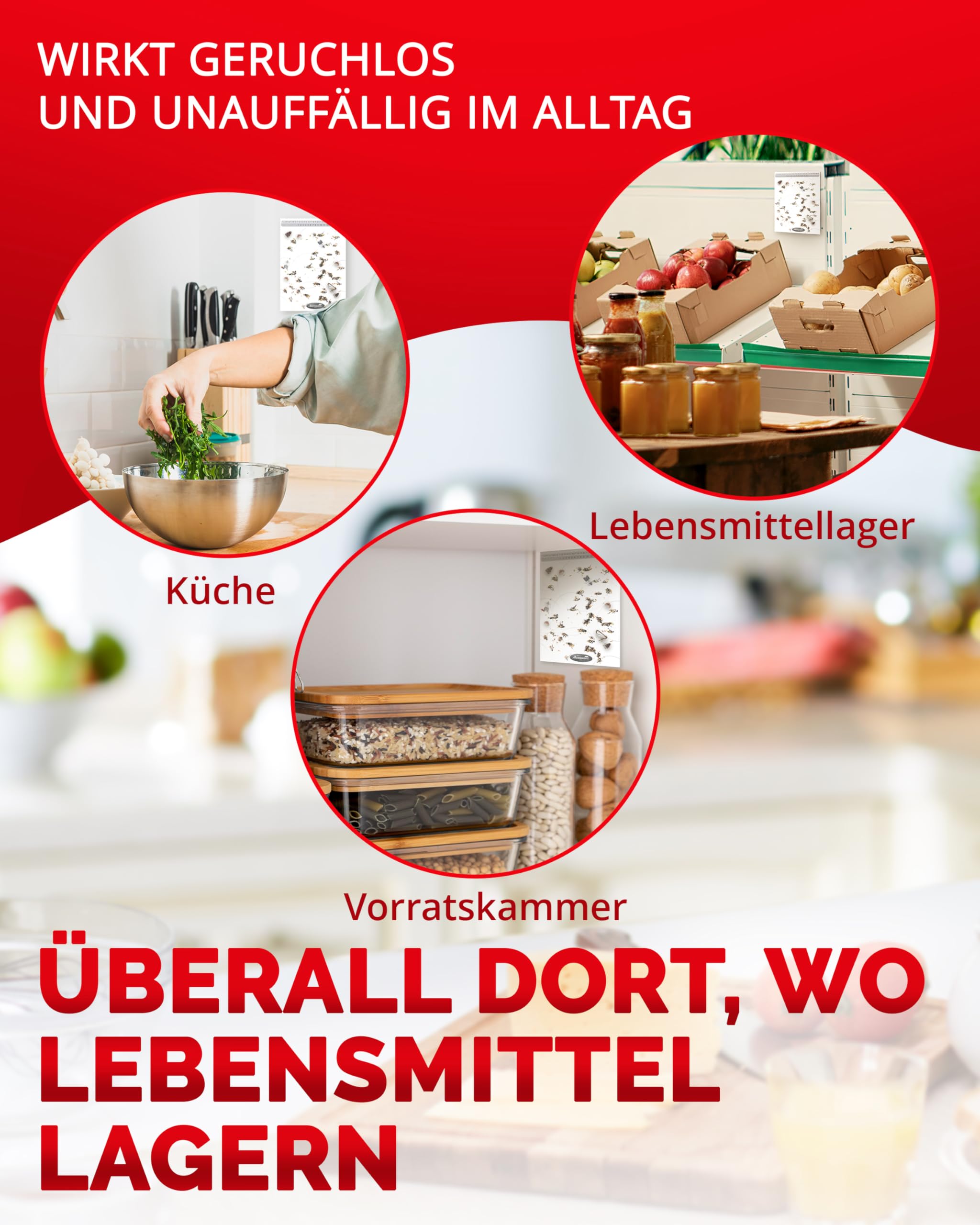 aeroxon-lebensmittelmotten-falle-6-st-ck-pheromon-k-che image 4