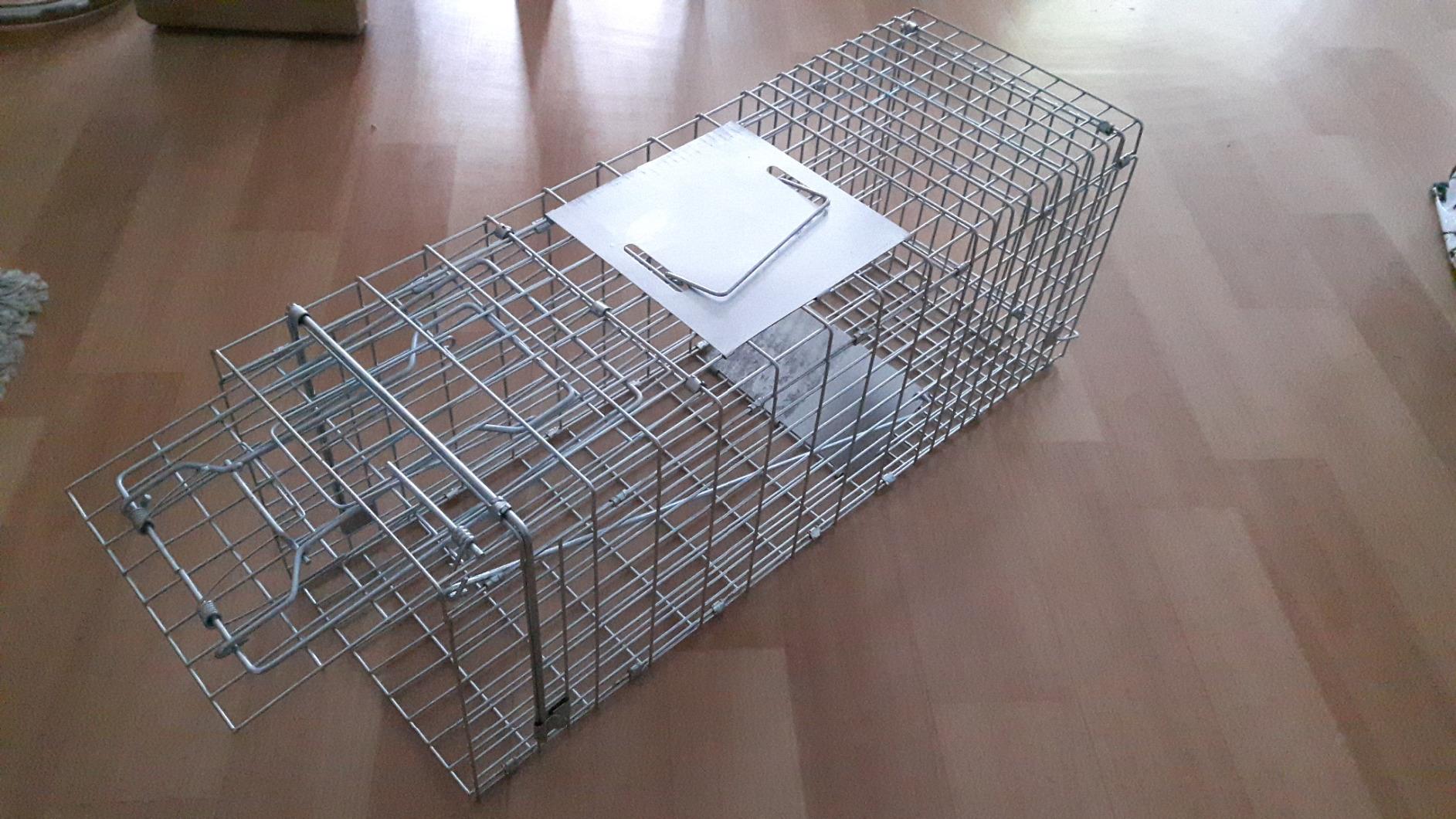 Tier blieb ruhig