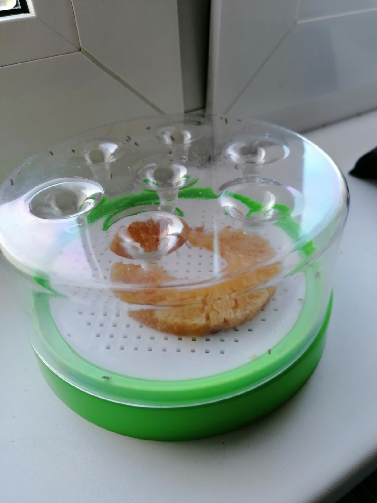 Top für Biomüll