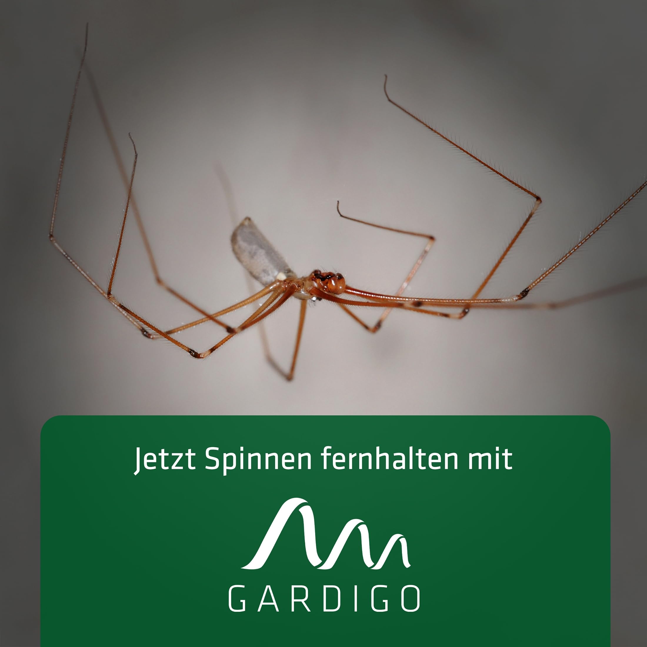 gardigo-spinnenabwehr-stecker-2er-set-ultraschall-25-m image 6