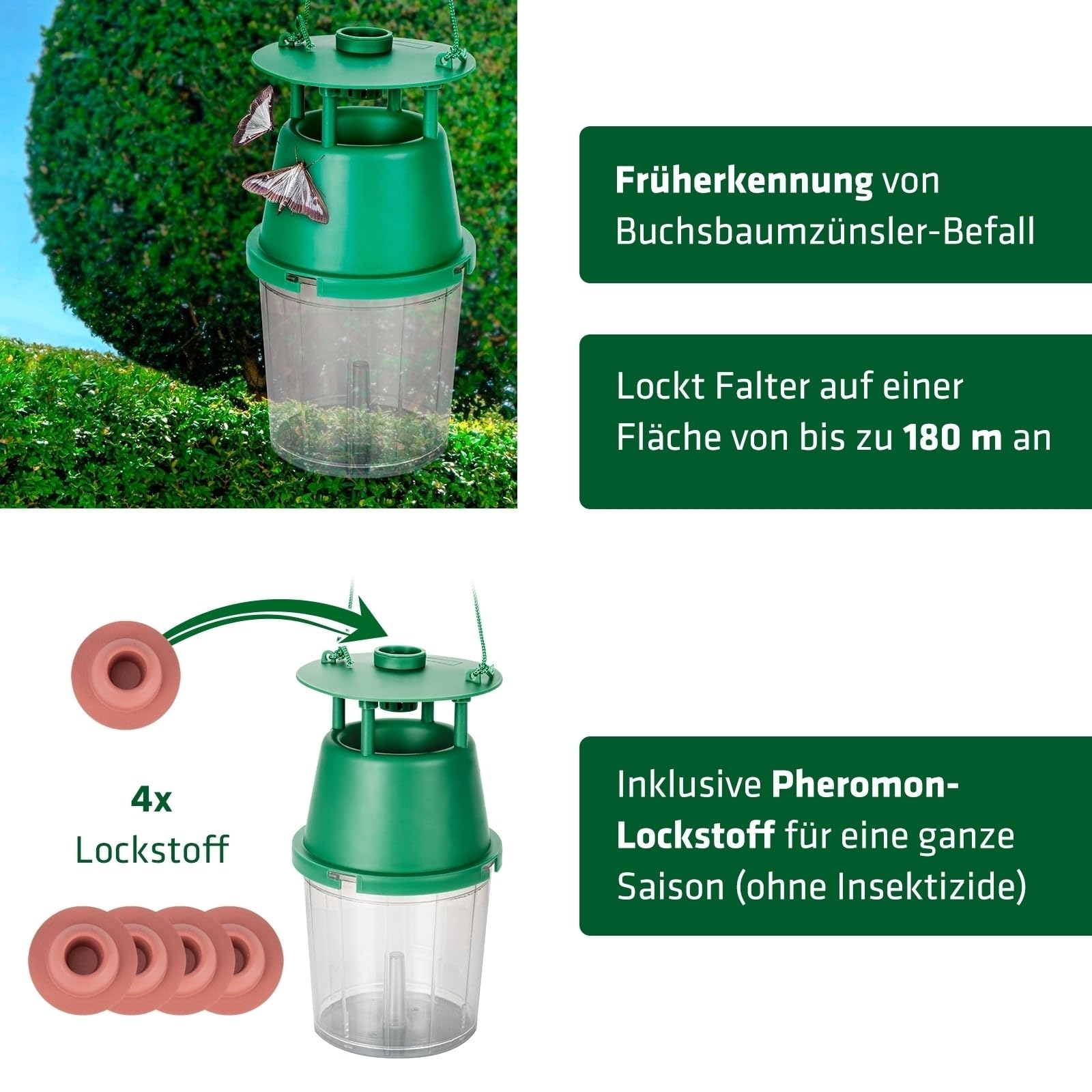 gardigo-klatschigo-buchsbaumz-nsler-falle-180m-pheromon image 2