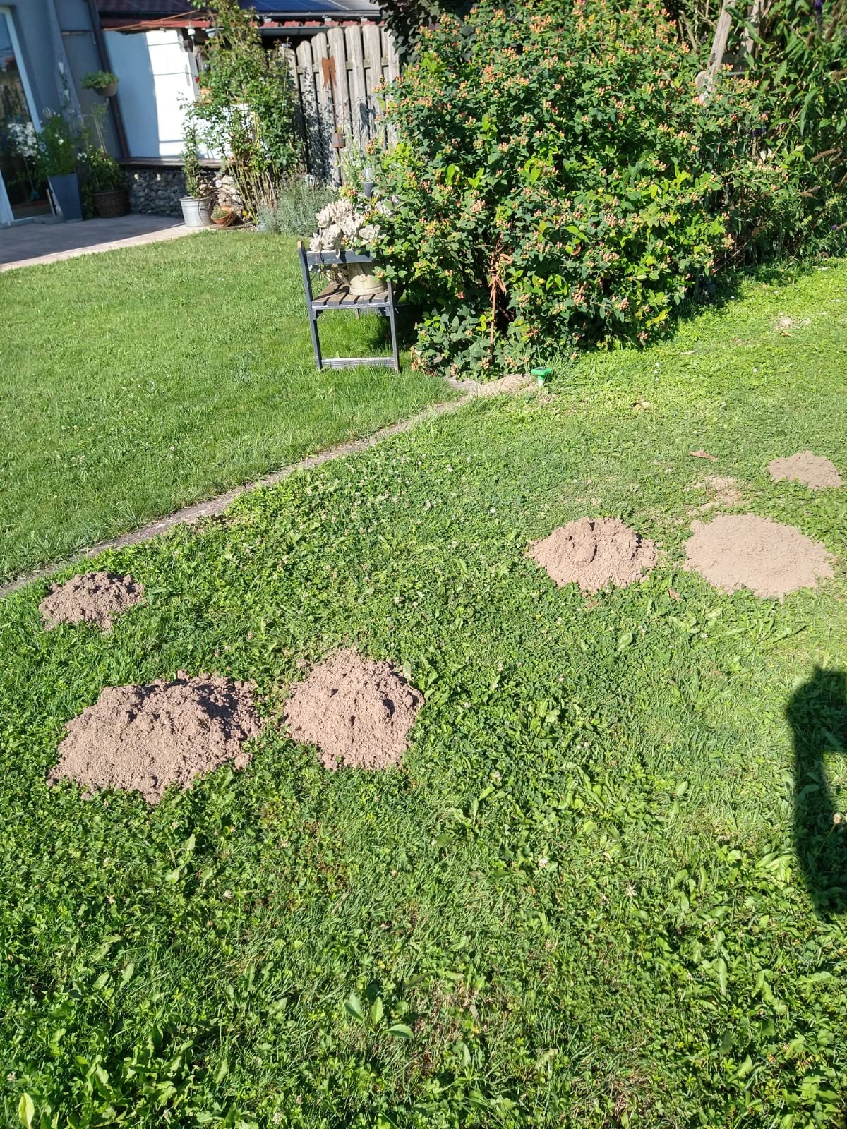 Unauffällig
