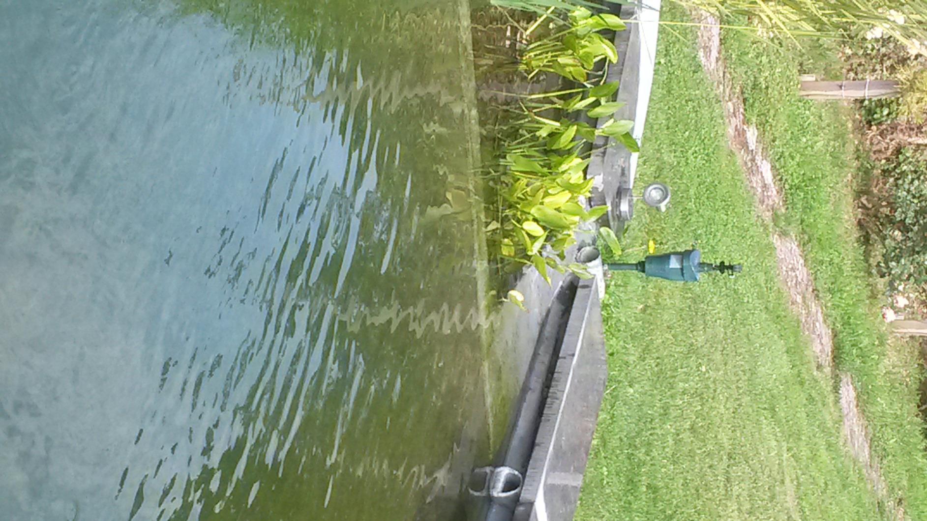 Teich ist sicher