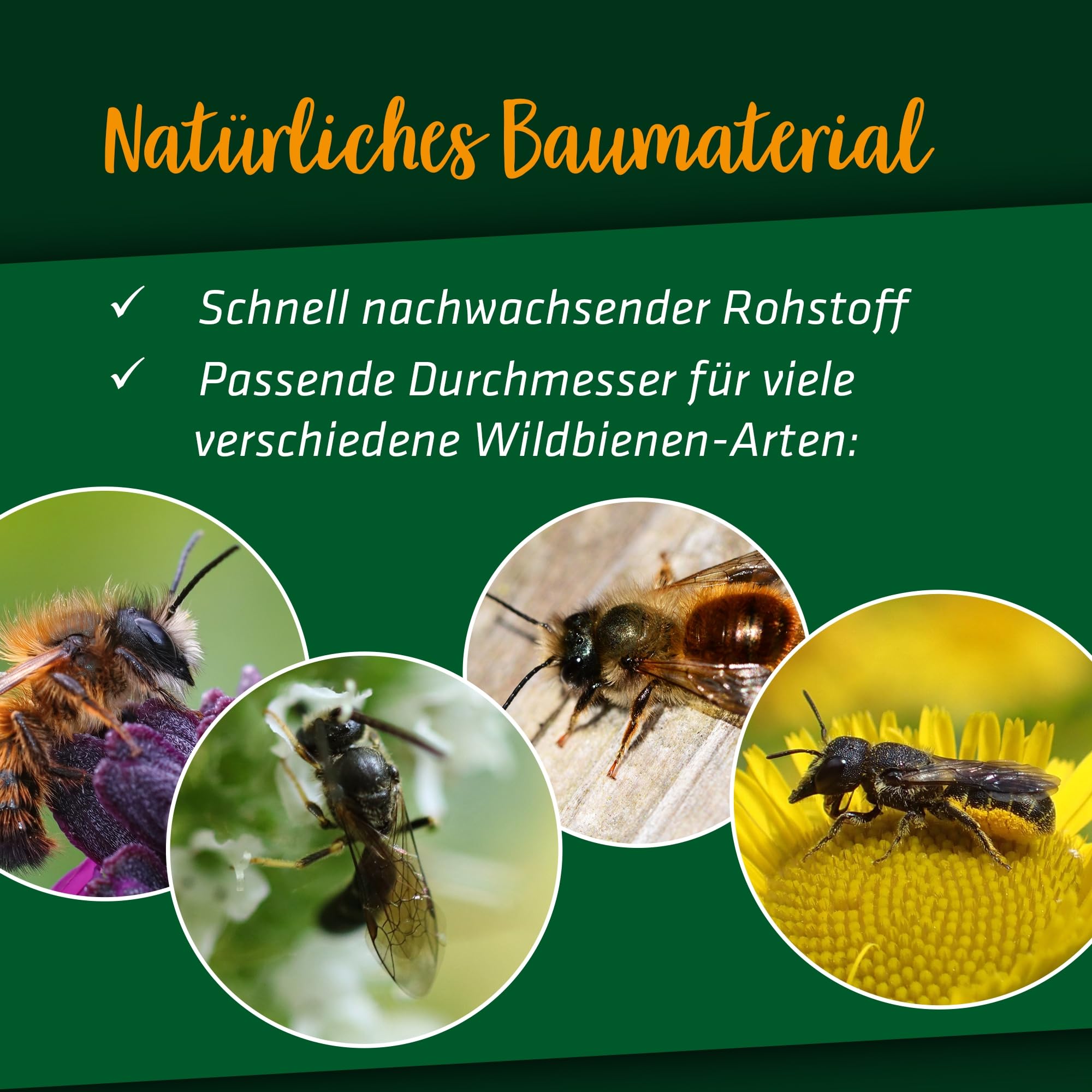 gardigo-gardosi-bambusr-hrchen-insektenhotel-300-st-ck-premium image 5