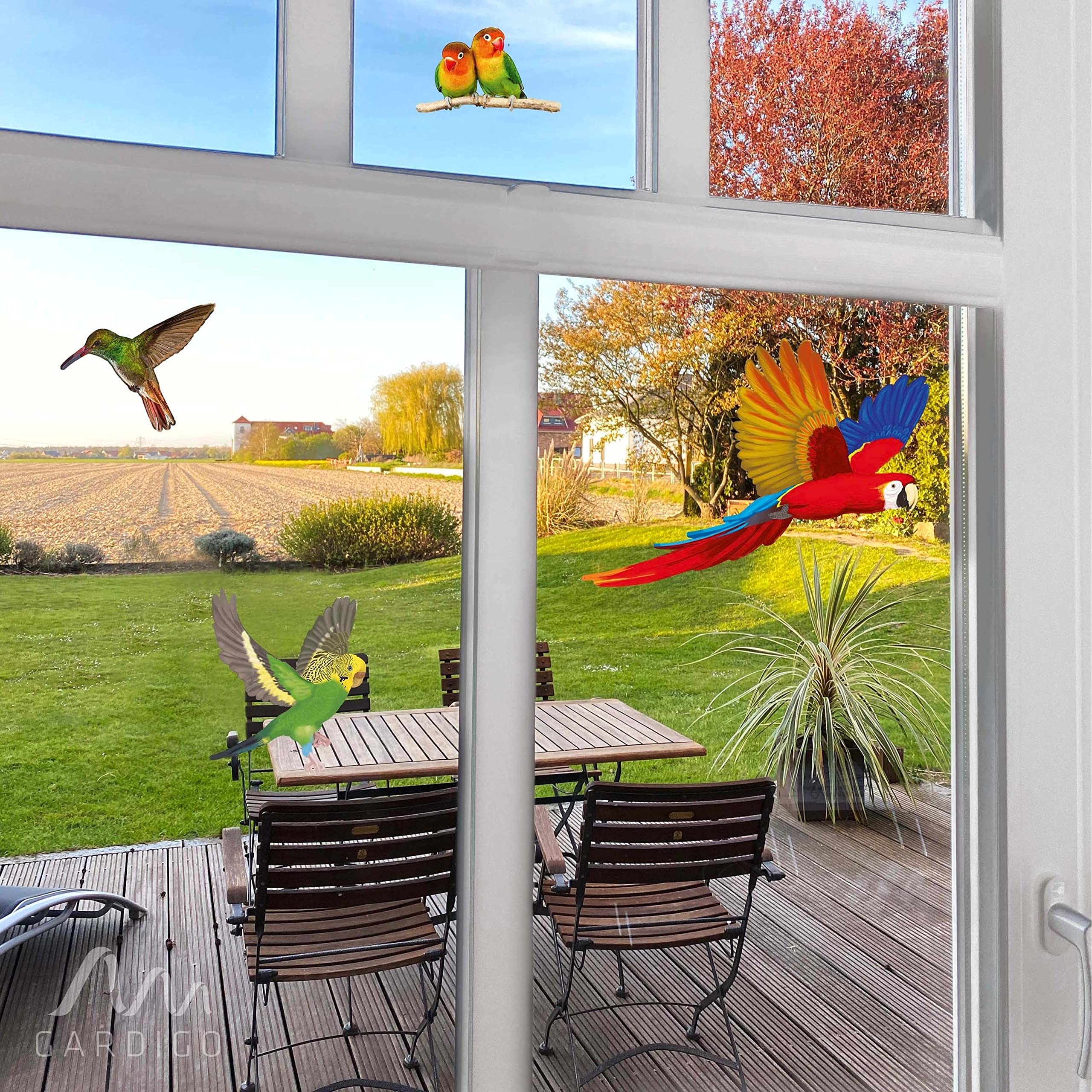 gardigo-vogel-frei-vogelaufkleber-fenster-5-st-ck-schwarz-bunt image 6