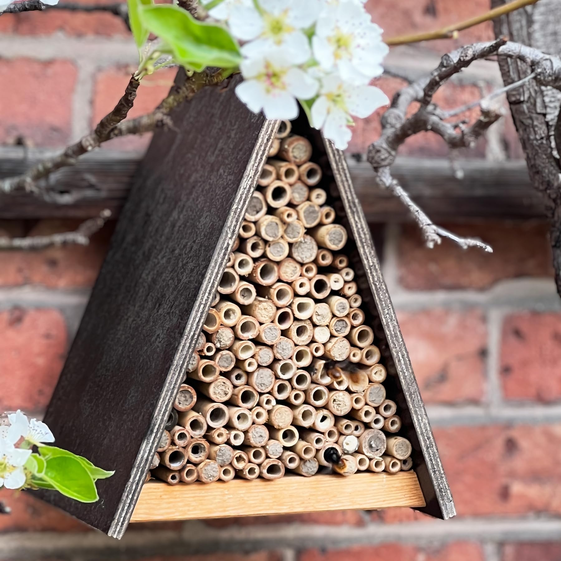 gardigo-tier-haus-bienenhotel-wildbienen-bambus-made-in-germany image 3