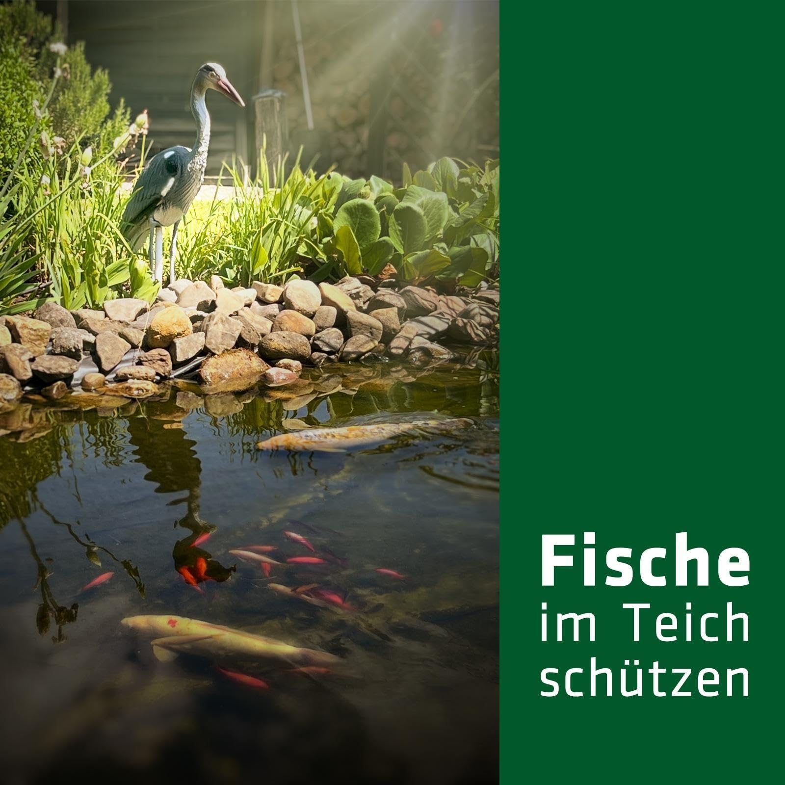 gardigo-vogel-frei-fischreiher-figur-mit-erdspie-teich image 2