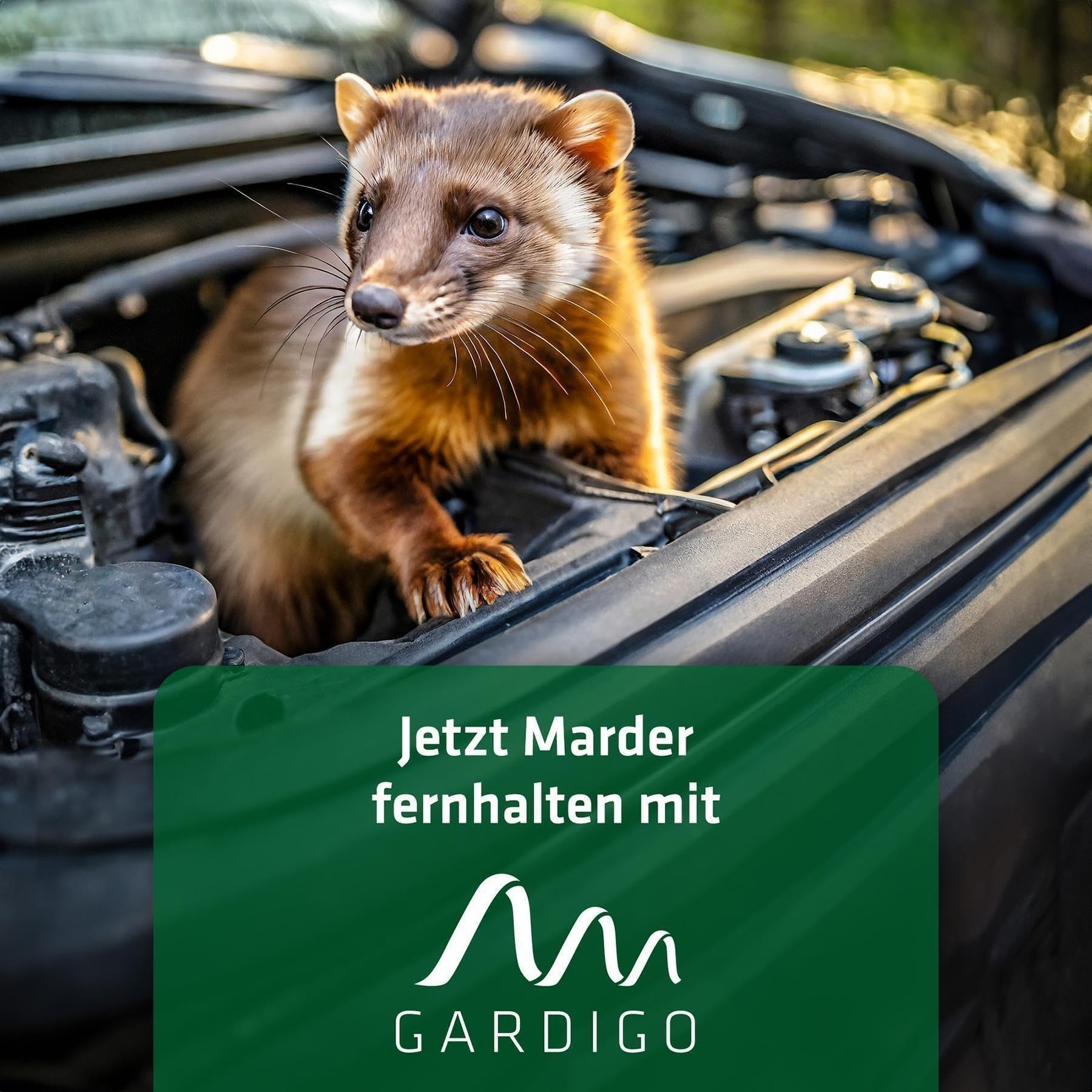 gardigo-marder-frei-marderschreck-auto-batterie-ultraschall-12-24khz image 7