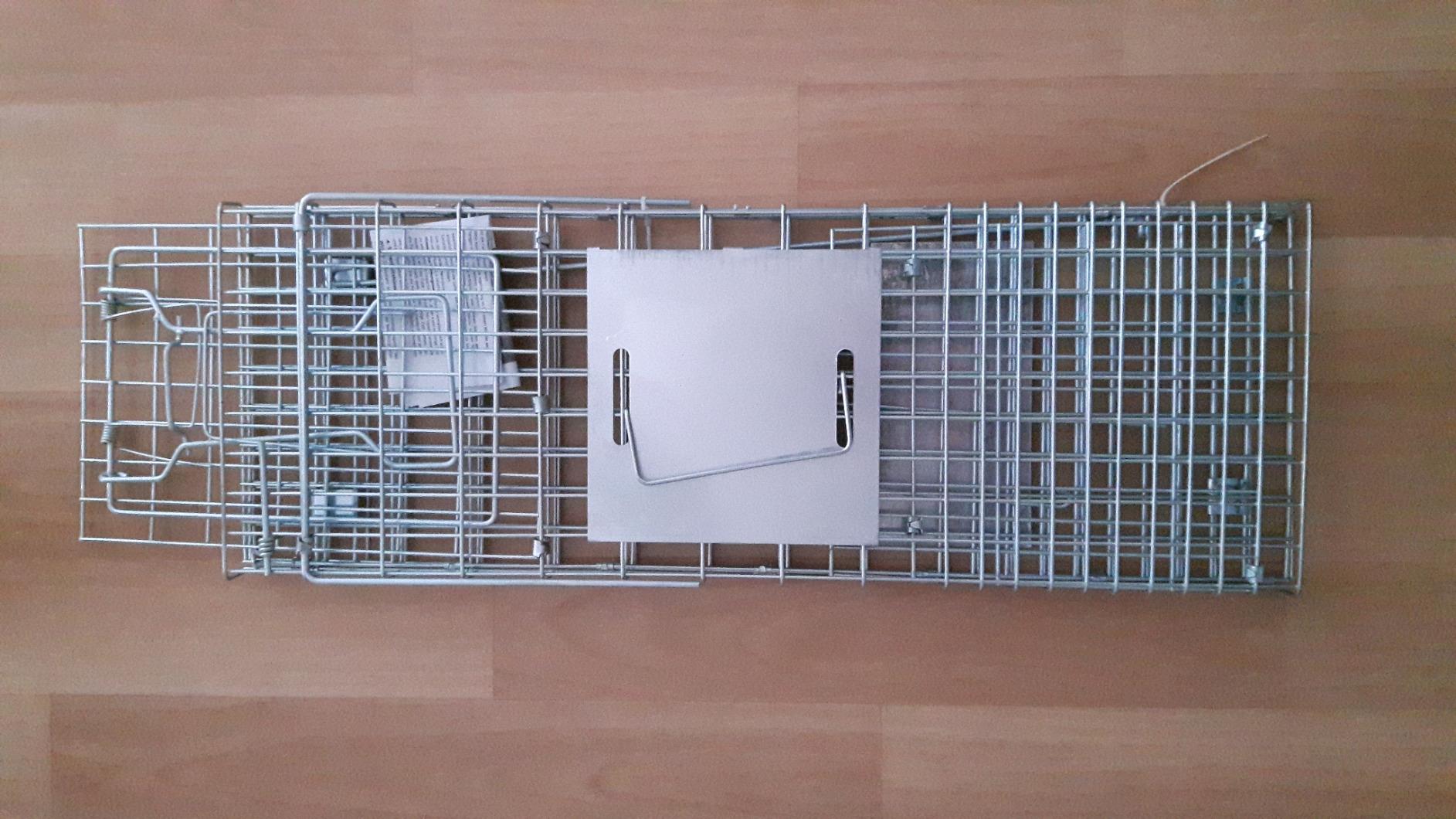 Gute Größe