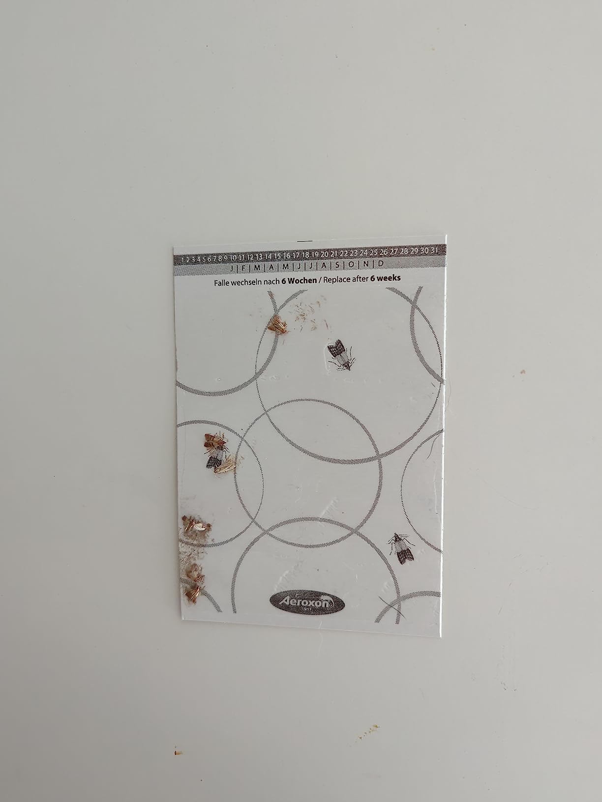 Kleines Papier
