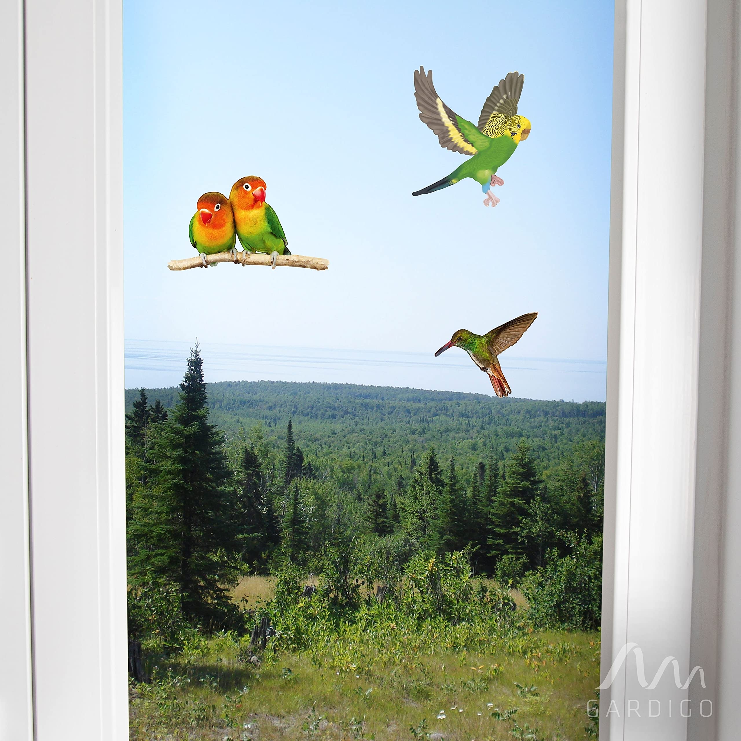 gardigo-vogel-frei-vogelaufkleber-fenster-5-st-ck-schwarz-bunt image 7