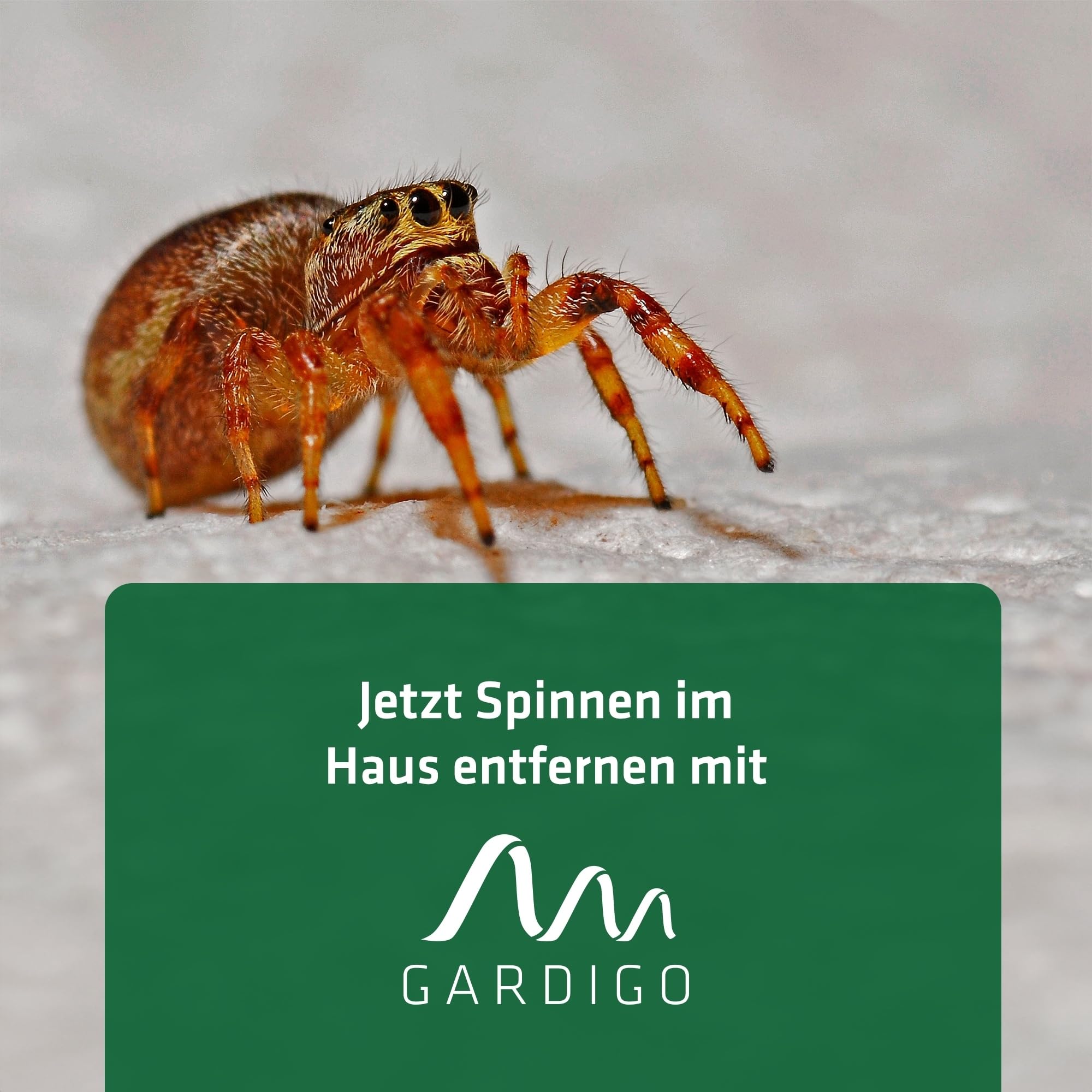 gardigo-m-use-feind-insektenf-nger-xxl-lupe-spinnenf-nger-griff image 6