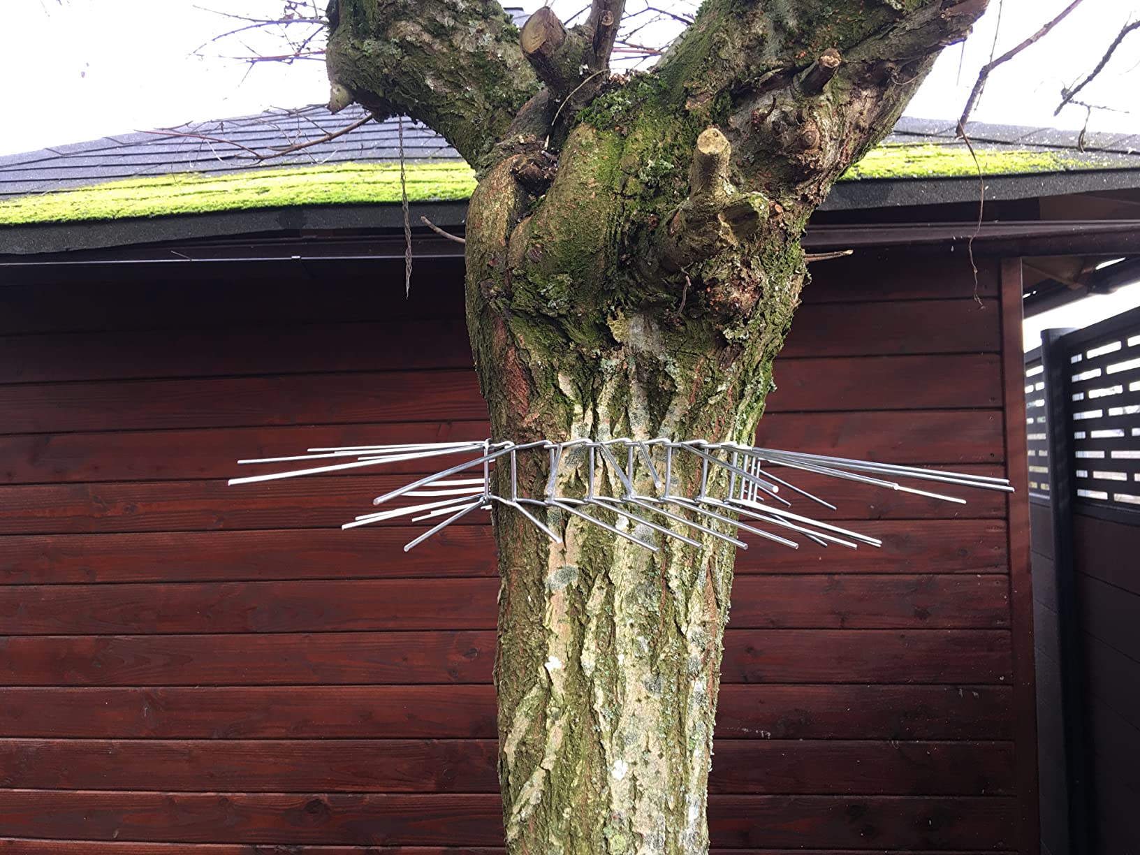 Hält die Katze fern