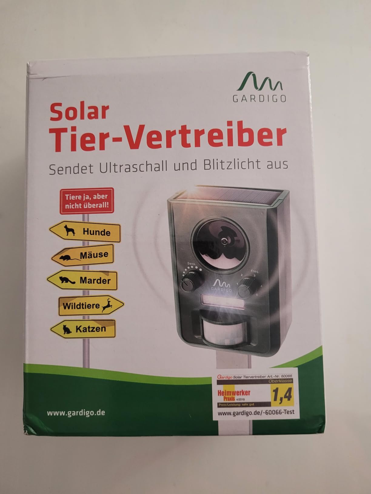 Leicht aufgestellt