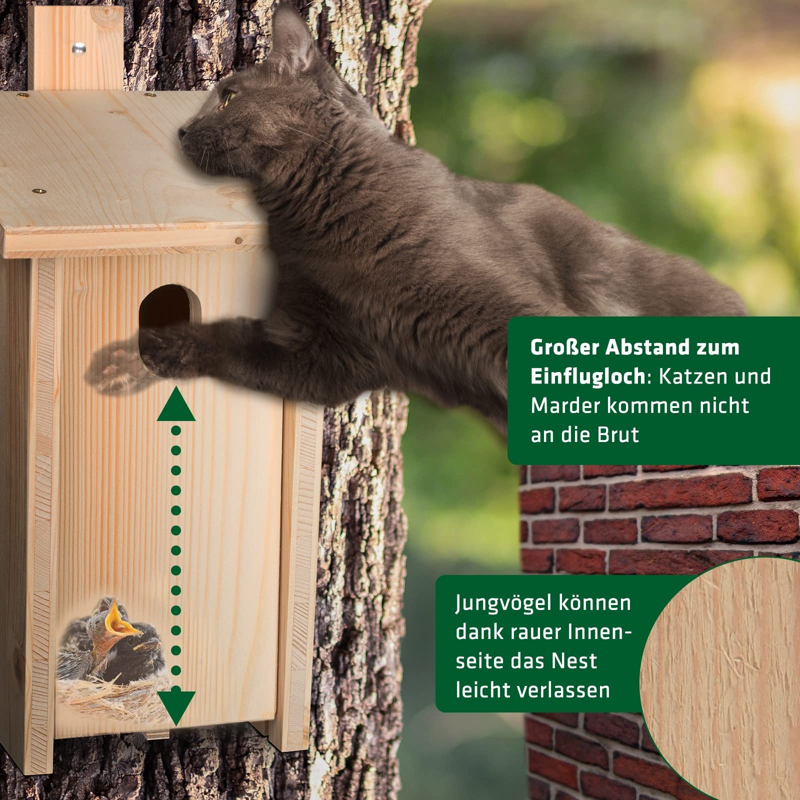 gardigo-gardosi-vogelhaus-bausatz-gartenrotschwanz-holz image 4