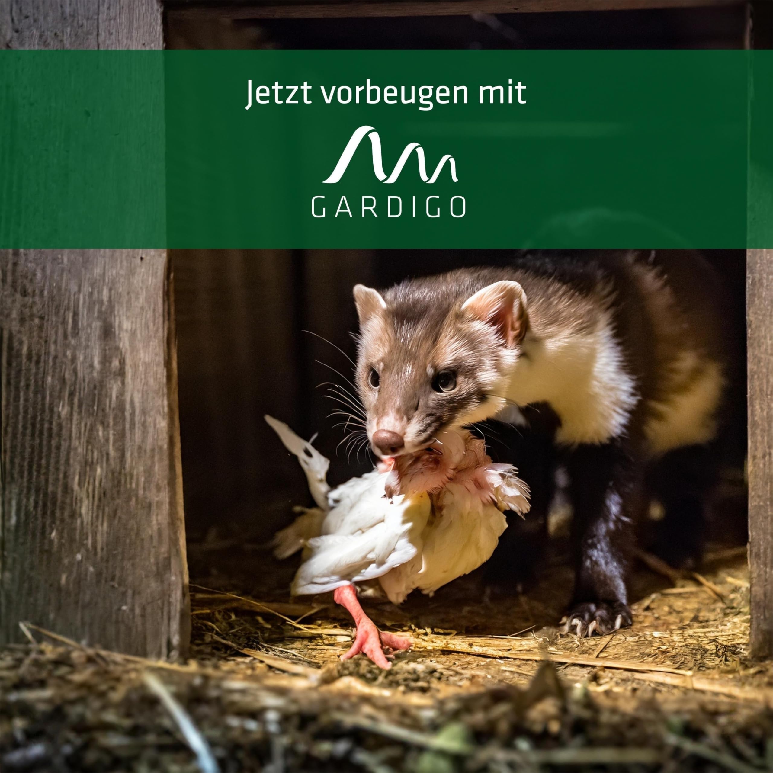 gardigo-vogel-frei-wildtiervertreiber-led-blau-1200-m image 7