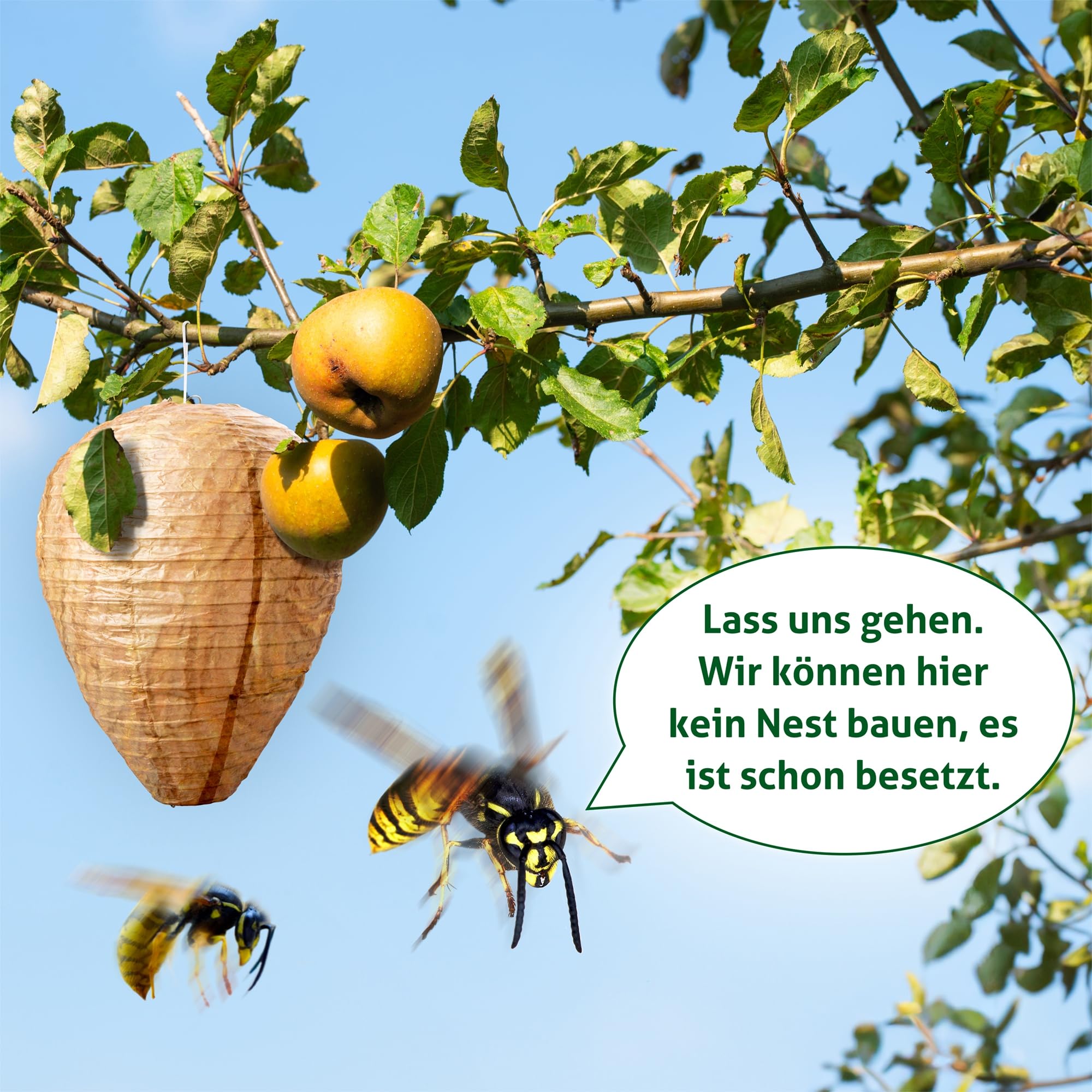 gardigo-wespenwedler-wespennest-attrappe-4er-set-papier-giftfrei image 2