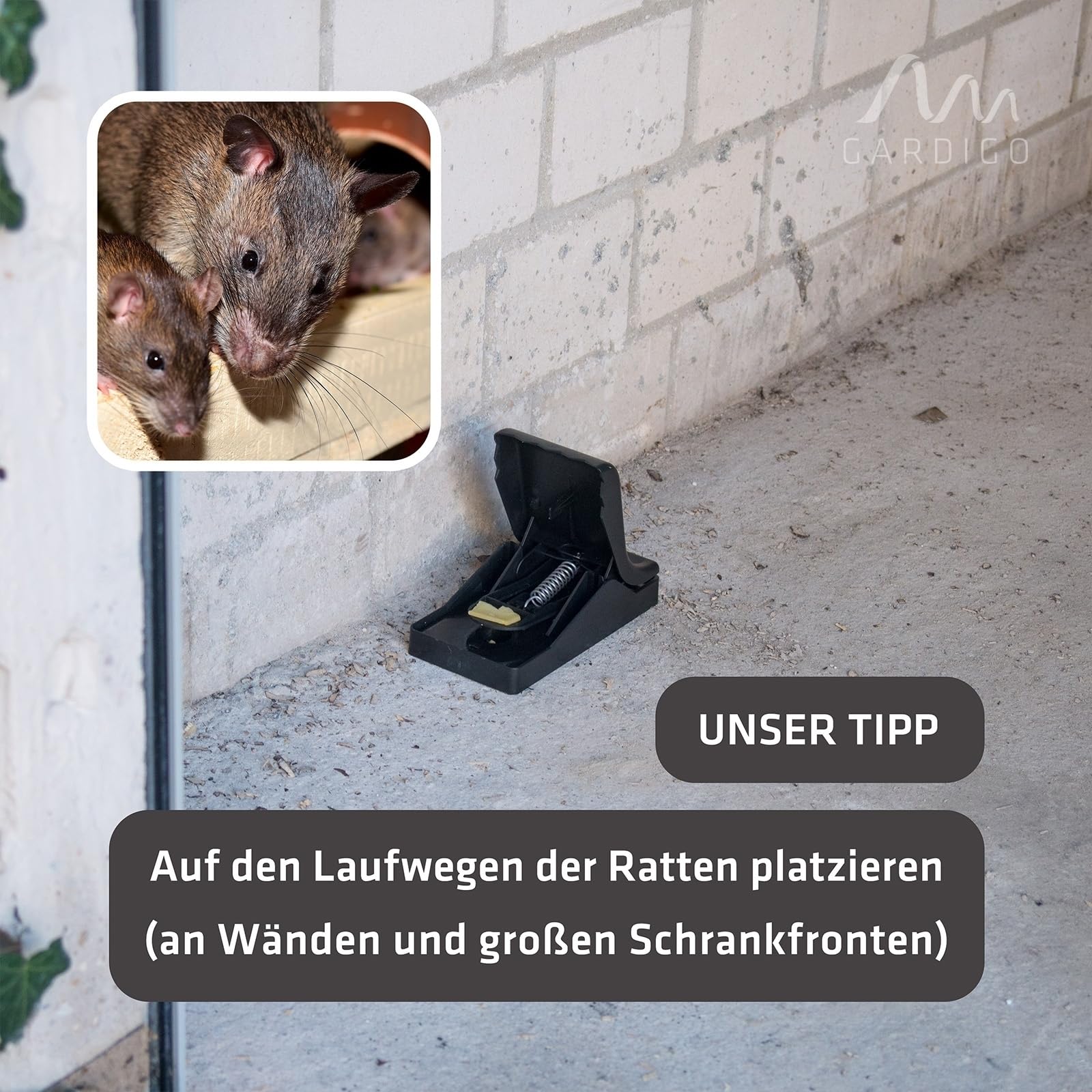 gardigo-m-use-feind-rattenfalle-2er-set-mit-k-der-kunststoff image 4