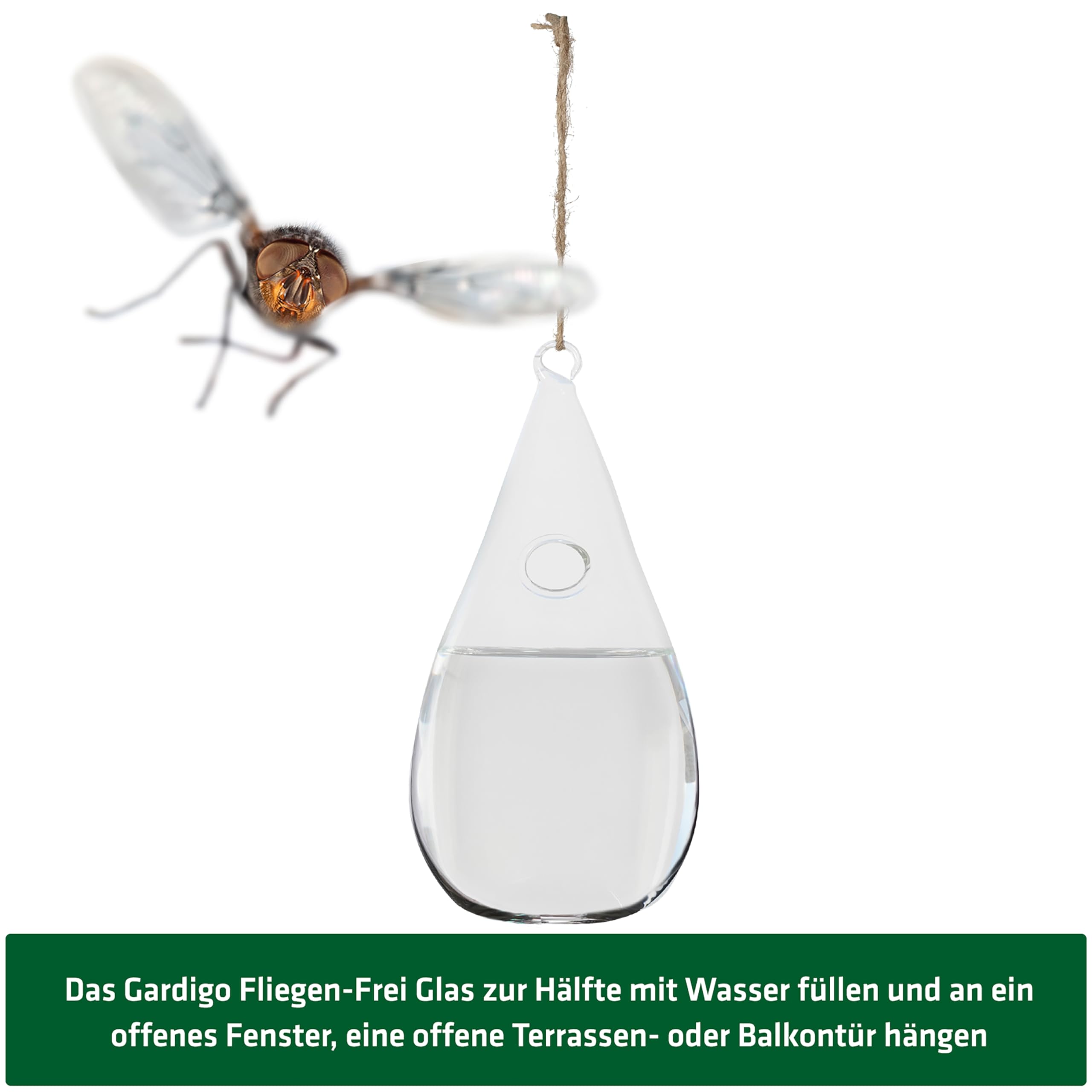 gardigo-klatschigo-fliegenglas-10x20-cm-f-r-fenster image 5