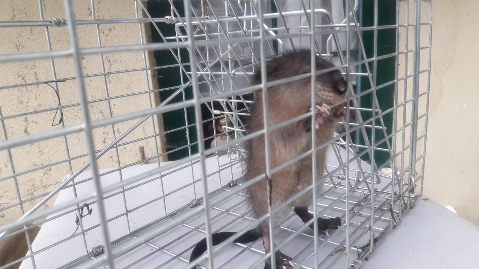 Solide verarbeitet