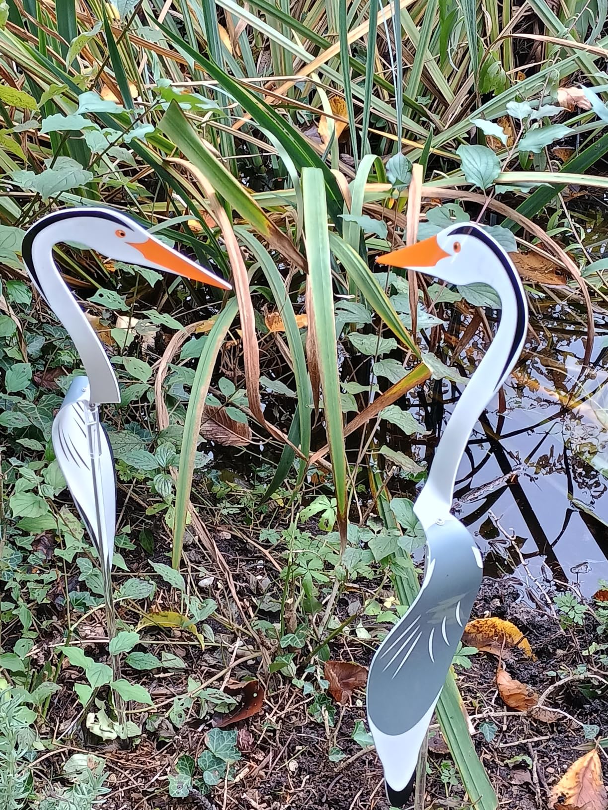 Fische sind sicher