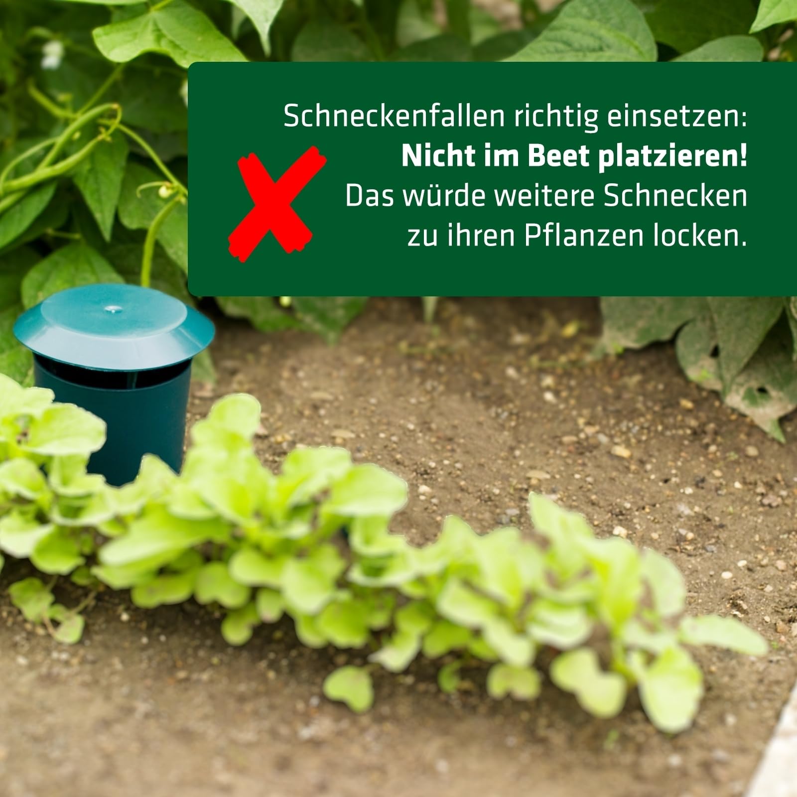 gardigo-schneckenfalle-4er-set-bierfalle-f-rs-beet-ohne-gift image 3