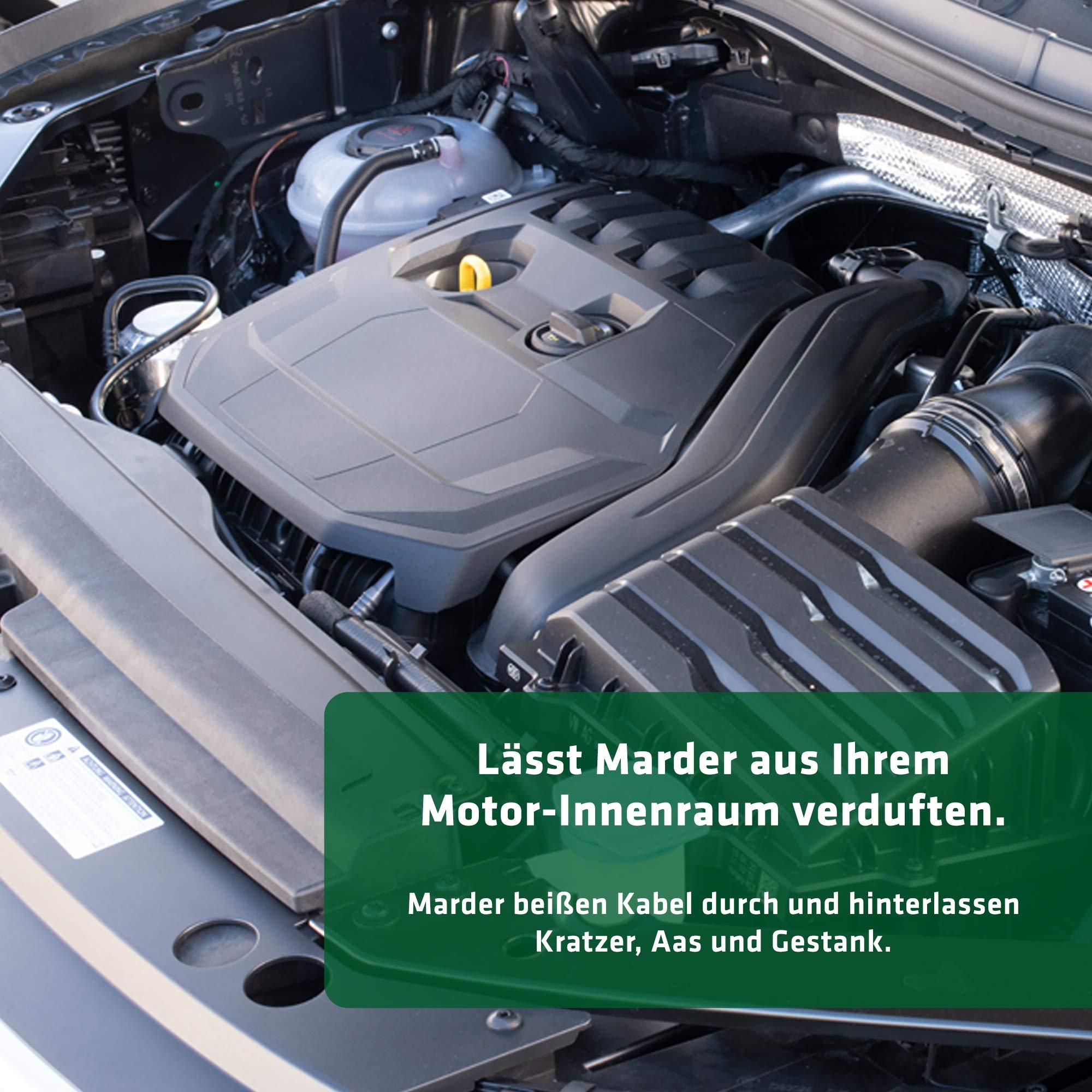 gardigo-marder-frei-marderspray-2er-set-duftabwehr-auto image 4
