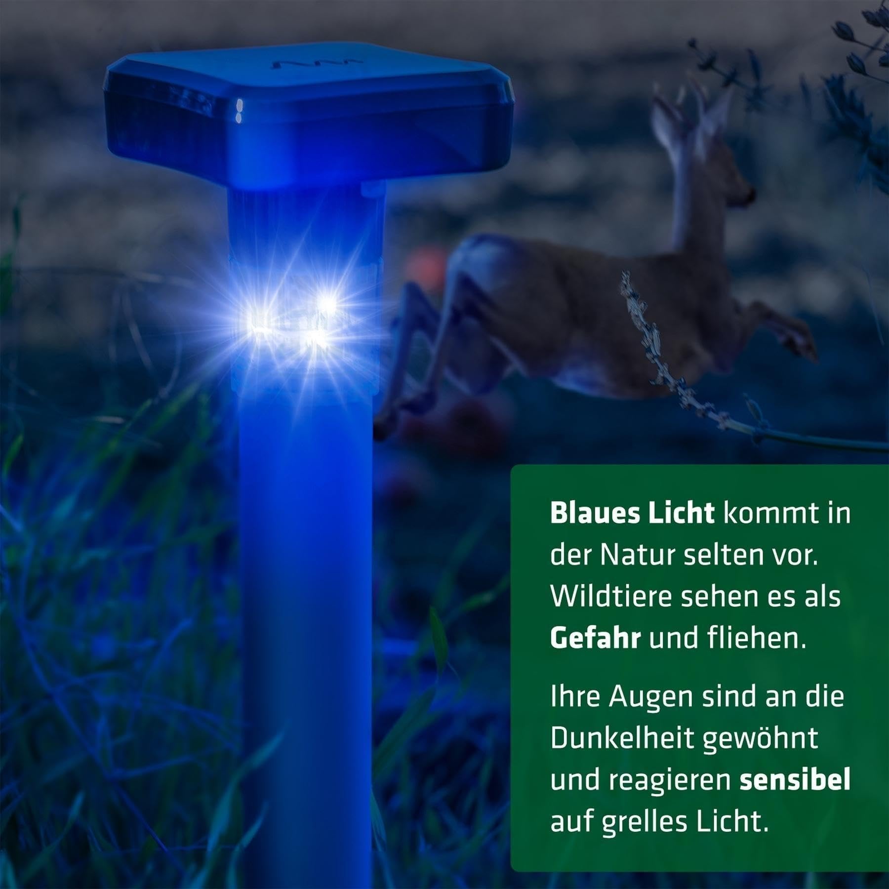 gardigo-vogel-frei-wildtiervertreiber-led-blau-1200-m image 4