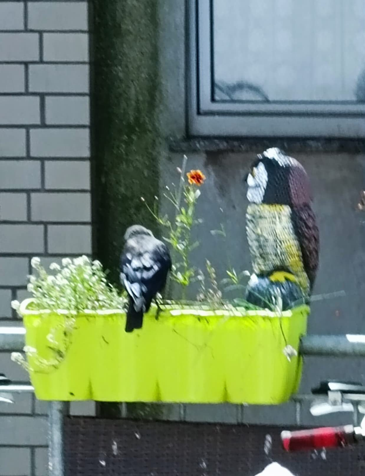 Schnell aufgestellt