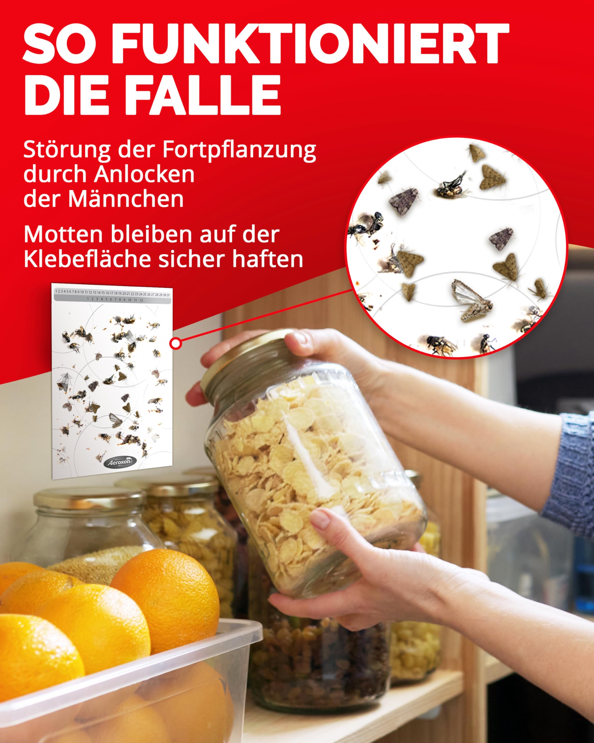 aeroxon-lebensmittelmotten-falle-6-st-ck-pheromon-k-che image 3