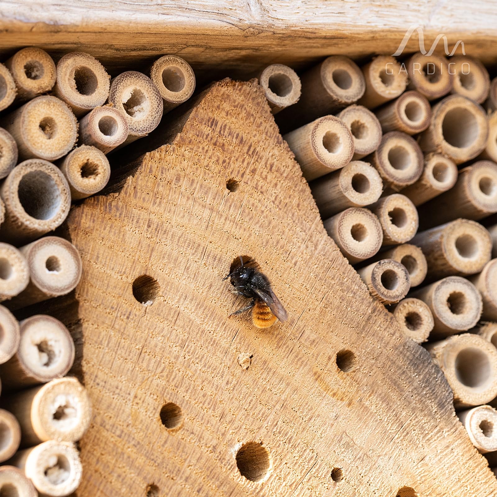 gardigo-tier-haus-insektenhotel-premium-bienenhaus-holz-gro image 5