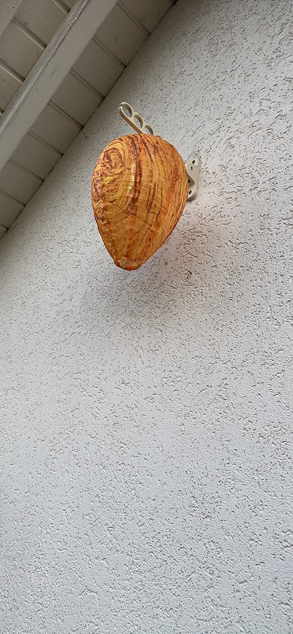 Sieht echt aus