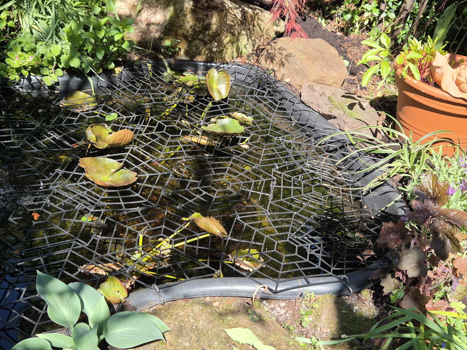 Fische endlich sicher