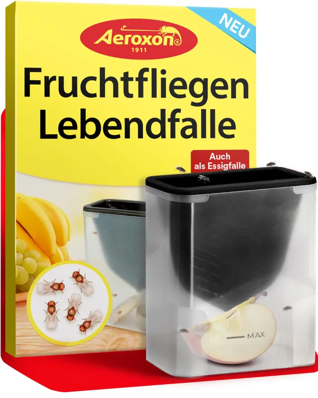 aeroxon-fruchtfliegen-lebendfalle-trichterfalle-ohne-chemie image 1