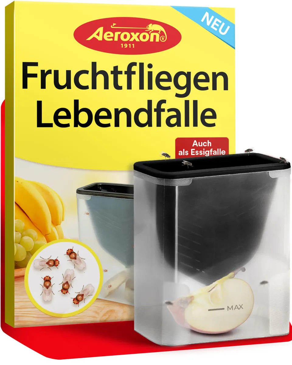 aeroxon-fruchtfliegen-lebendfalle-trichterfalle-ohne-chemie image 1