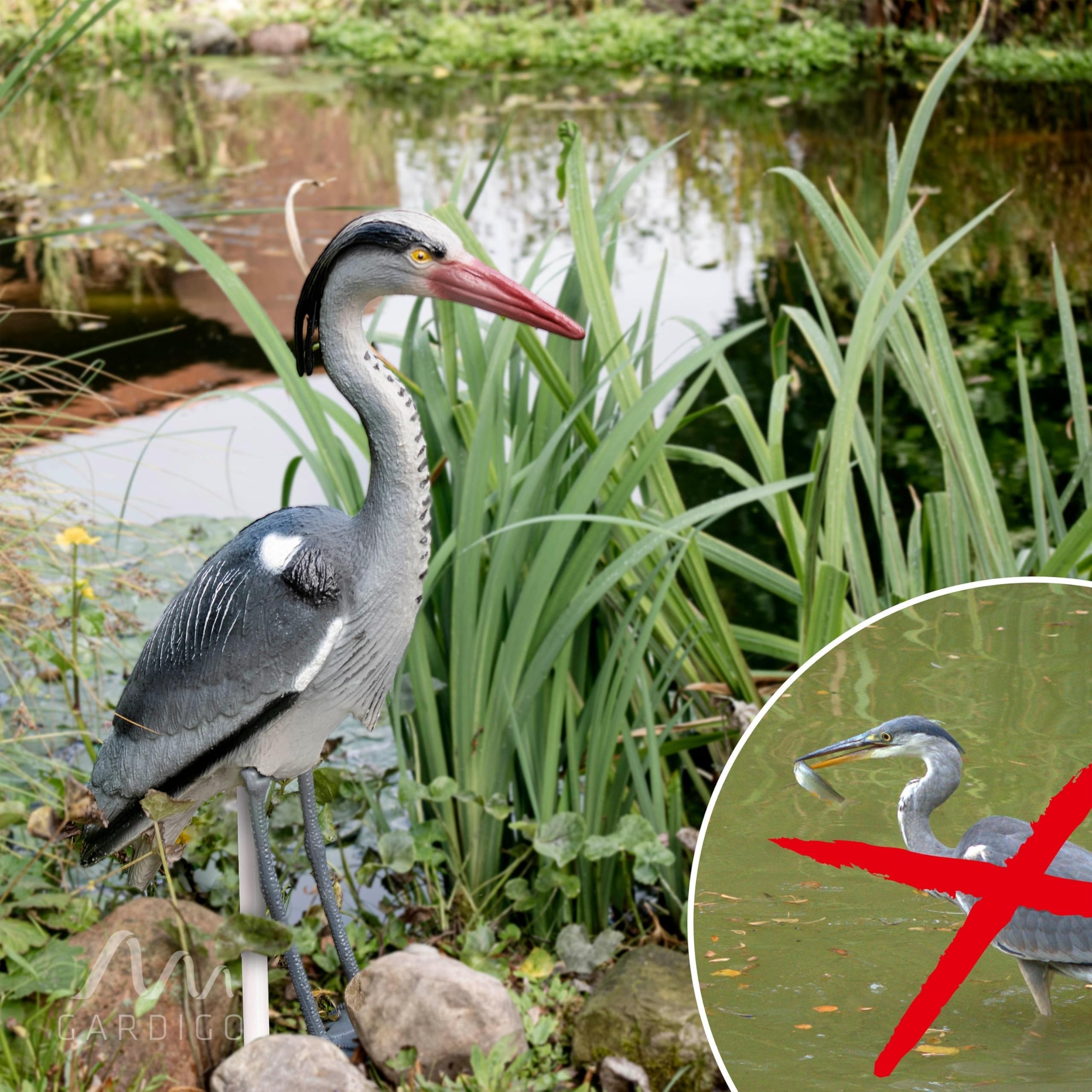 gardigo-vogel-frei-fischreiher-figur-mit-erdspie-teich image 6