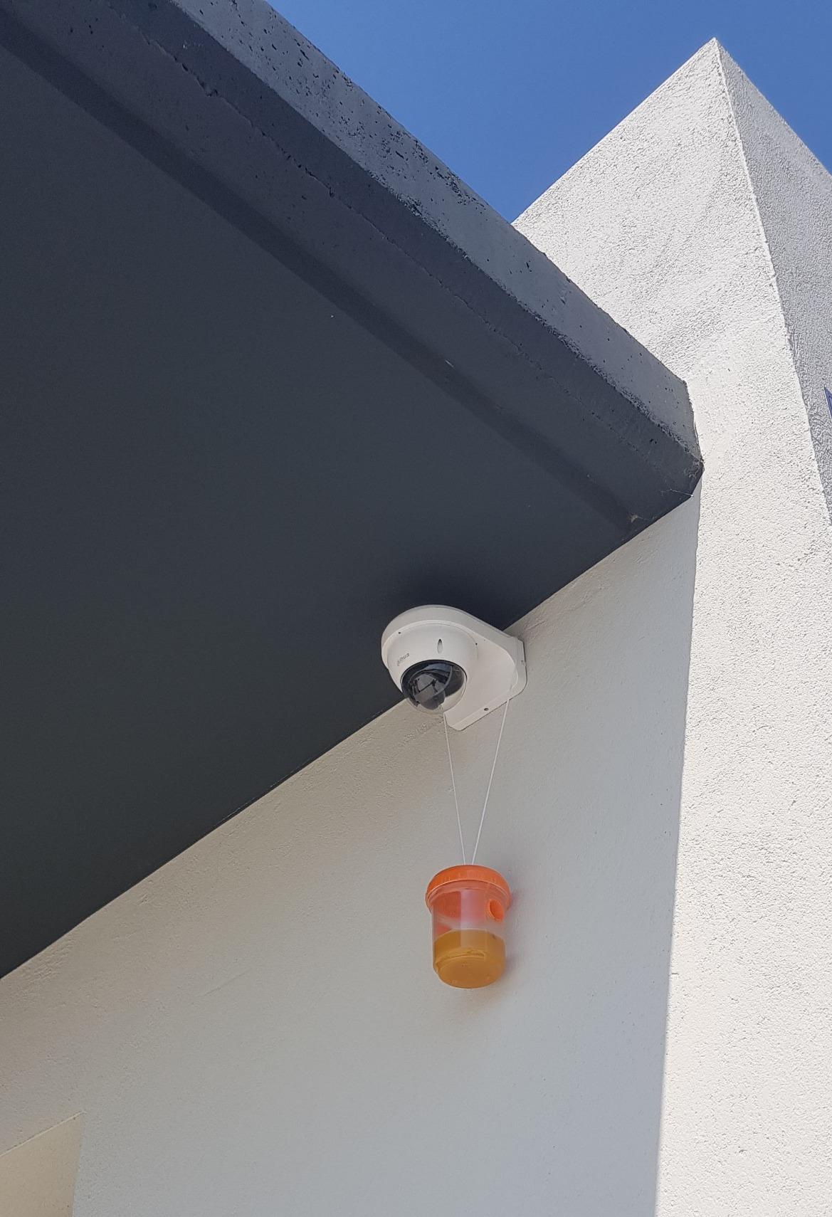 Fängt gut