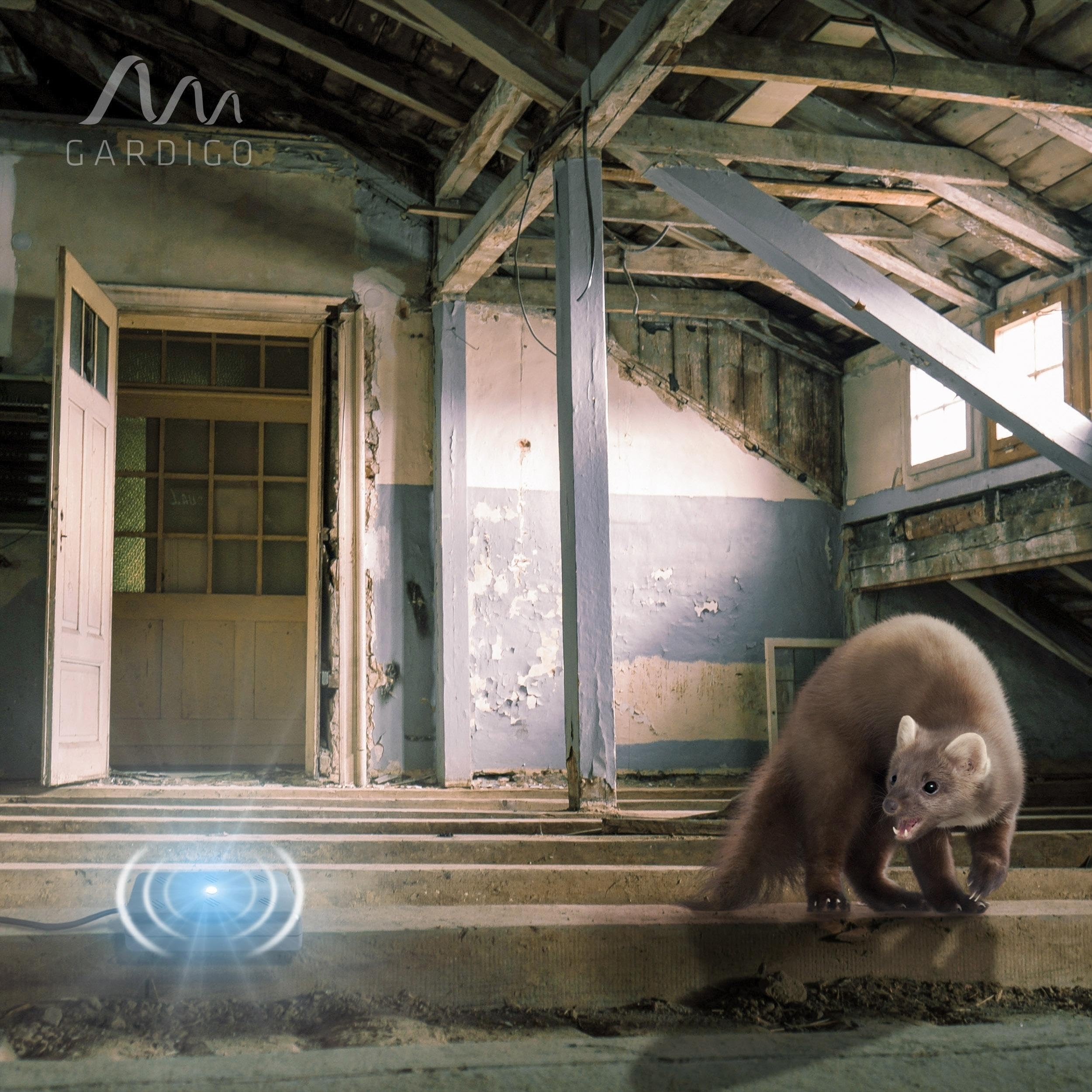 gardigo-marder-frei-marderschreck-indoor-ultraschall-led image 7