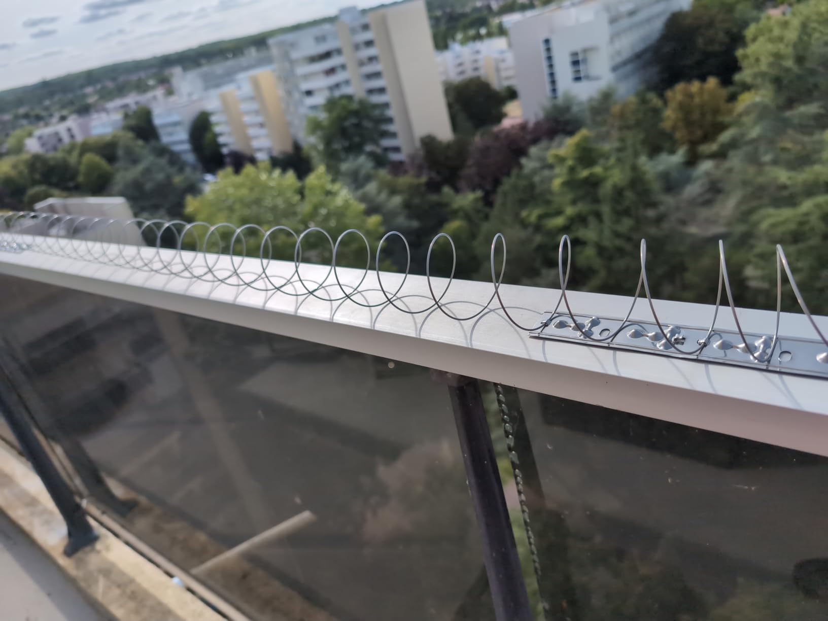 Keine Tauben mehr